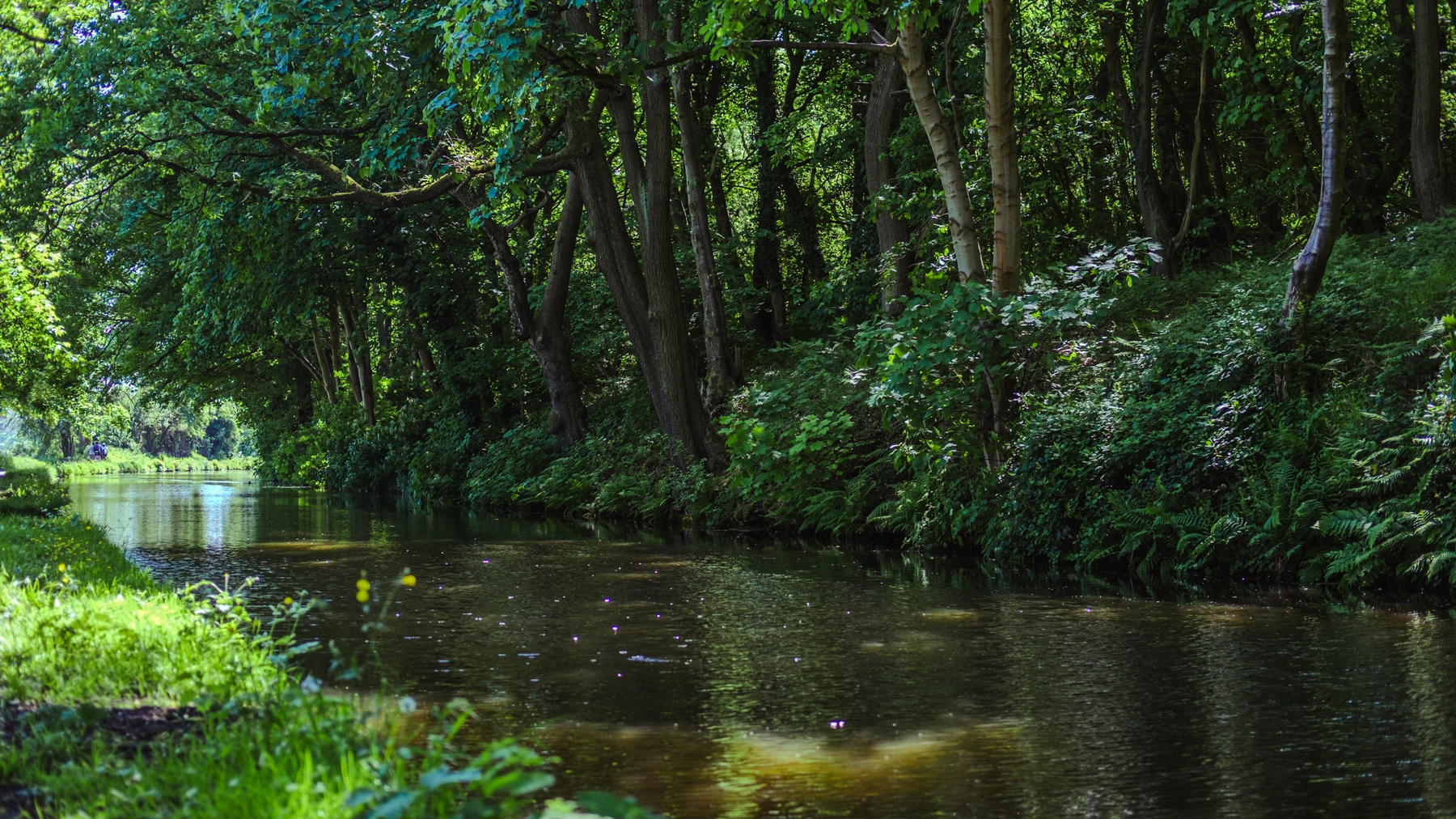 Nature photography