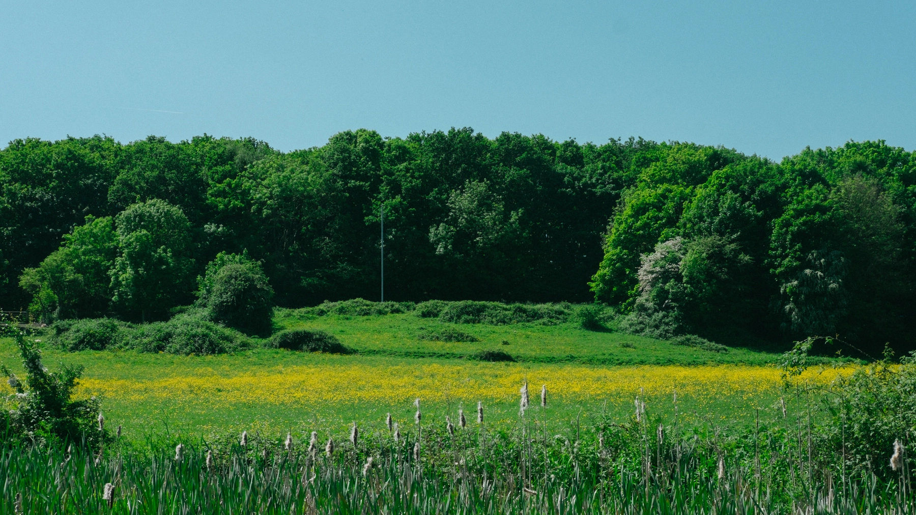 Nature photography