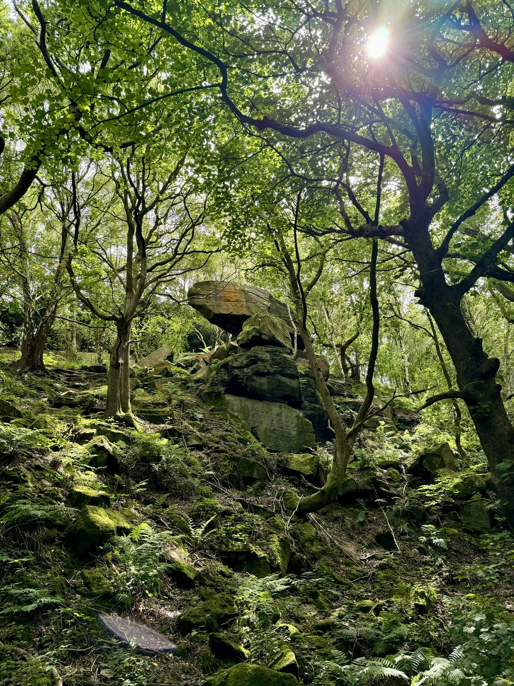 Nature photography