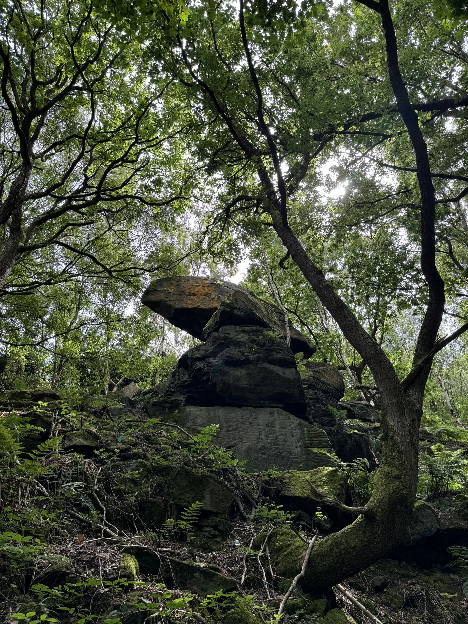 Nature photography