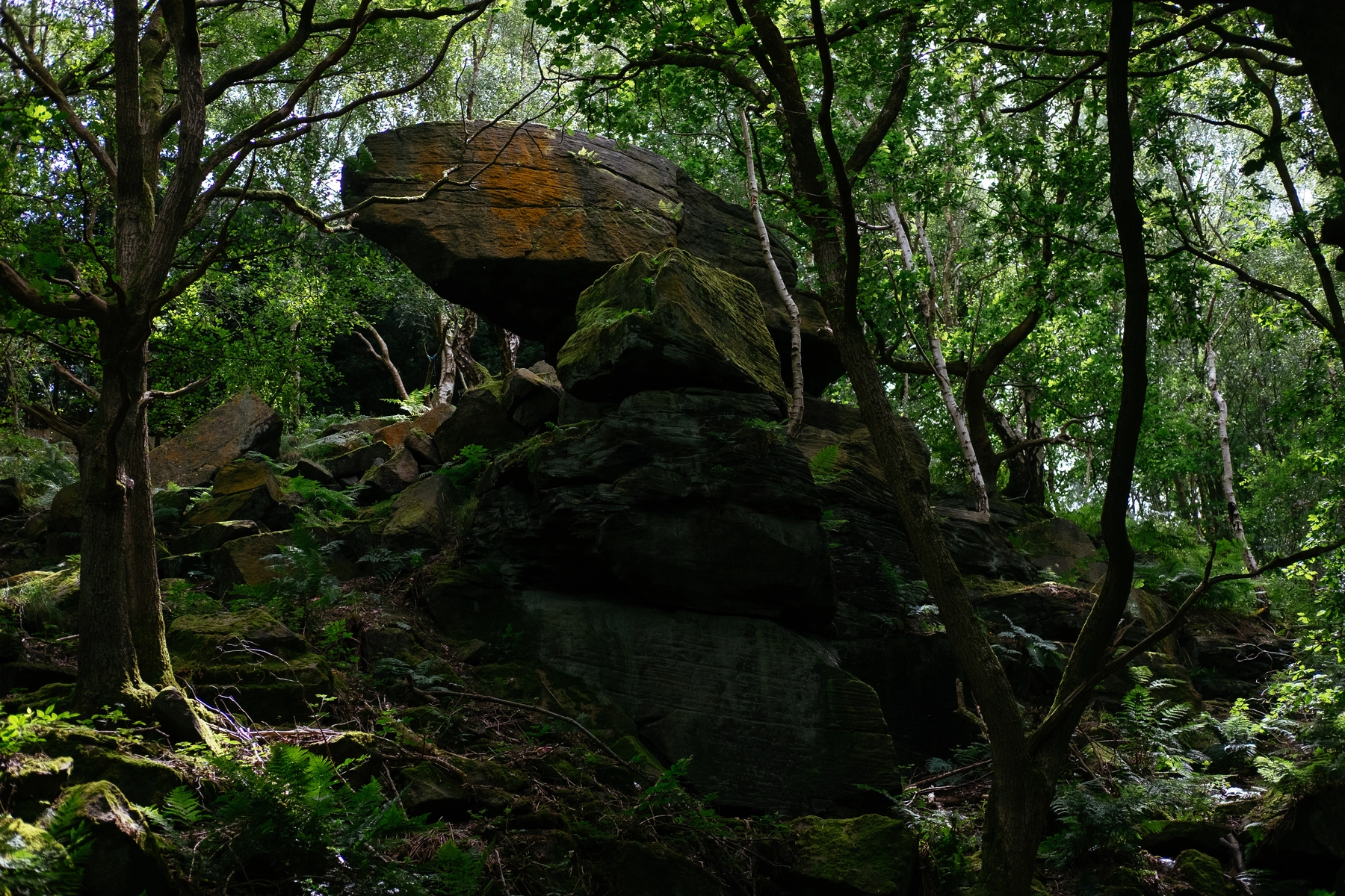 Nature photography