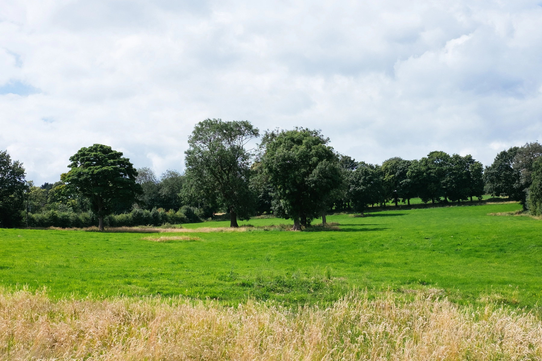 Nature photography