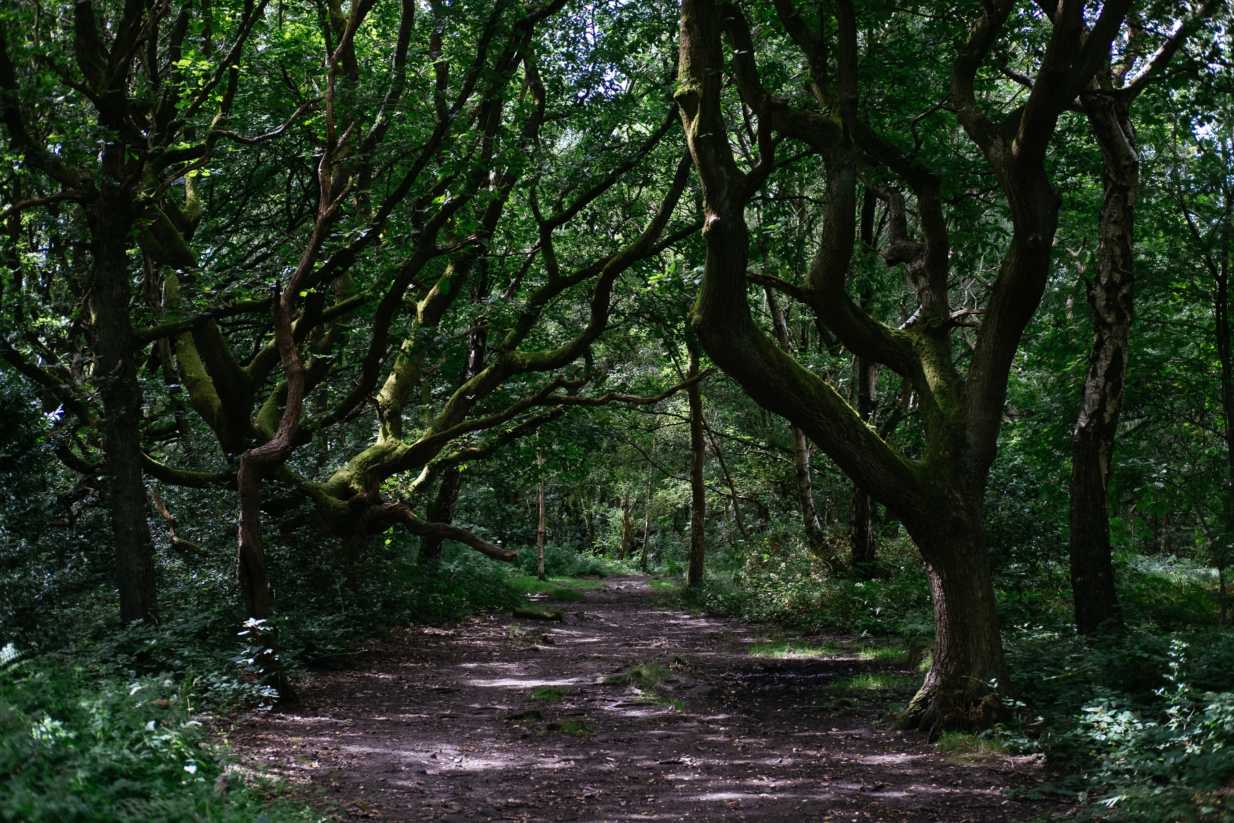 Nature photography