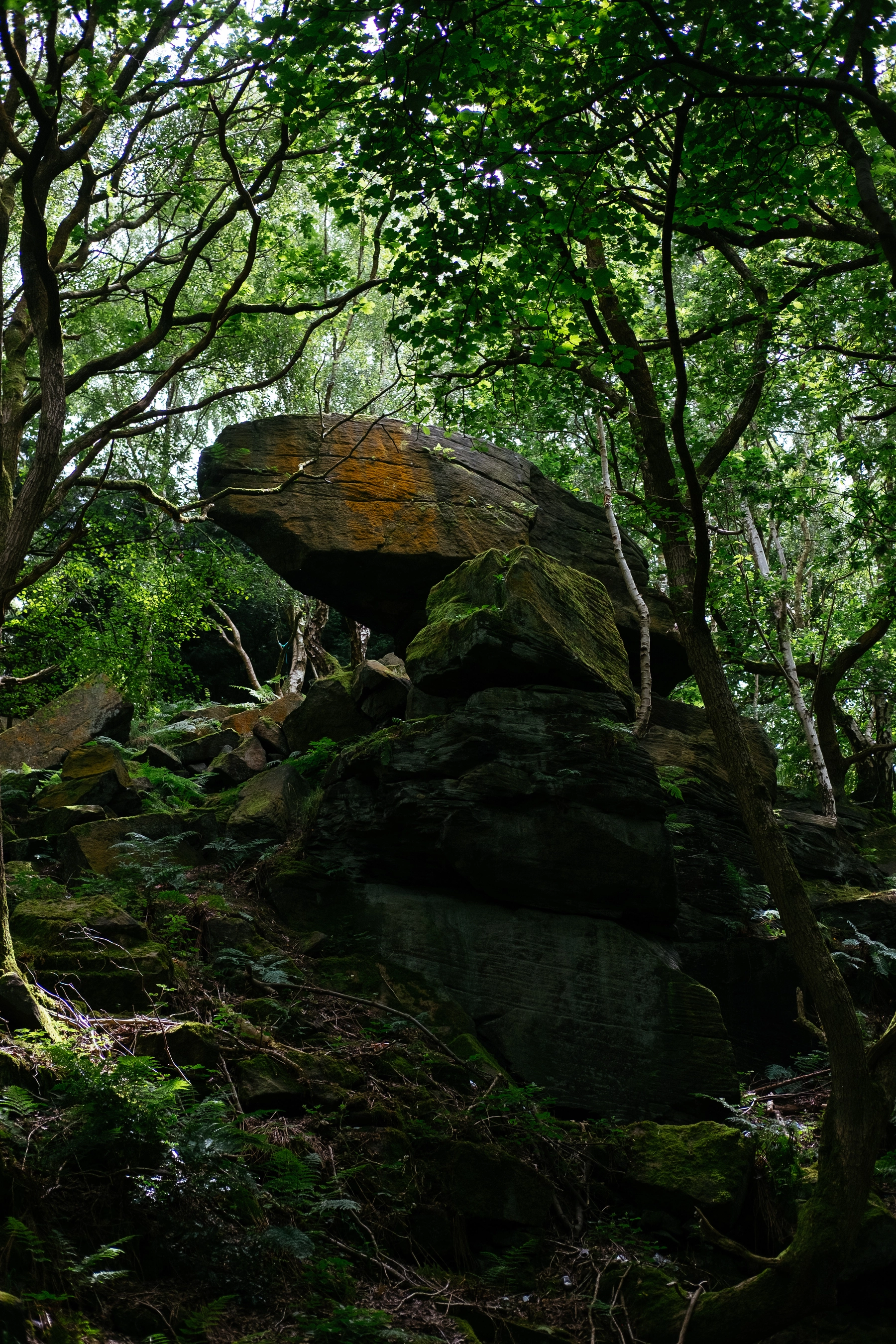 Nature photography