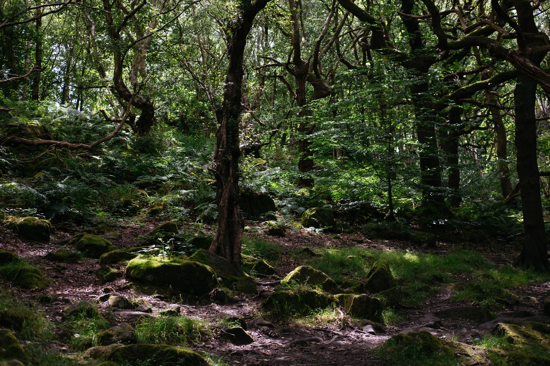 Nature photography
