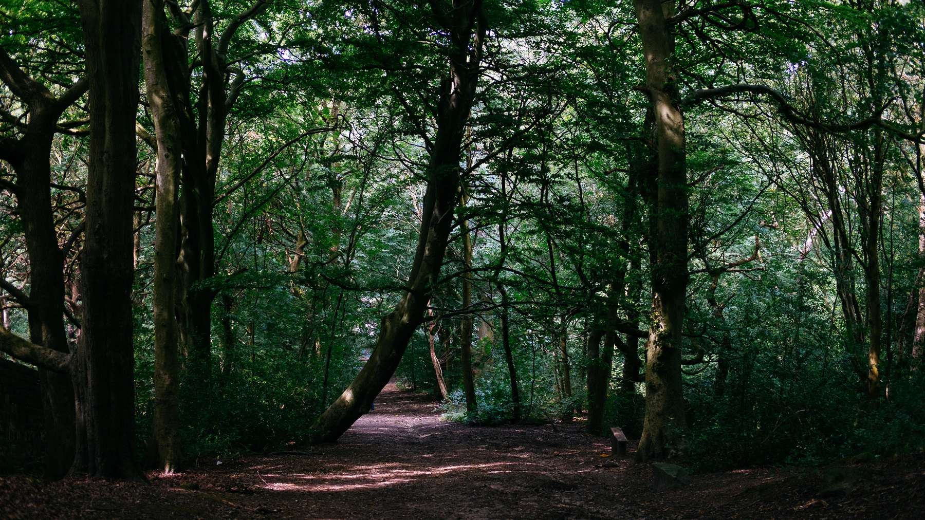 Nature photography