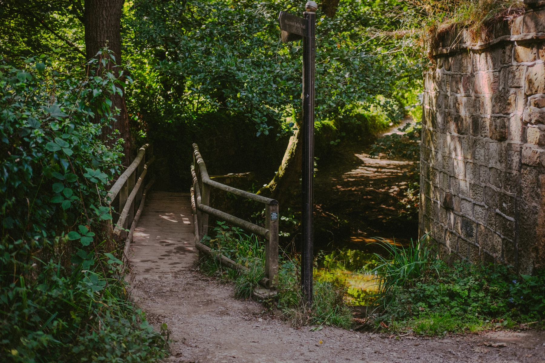 Nature photography