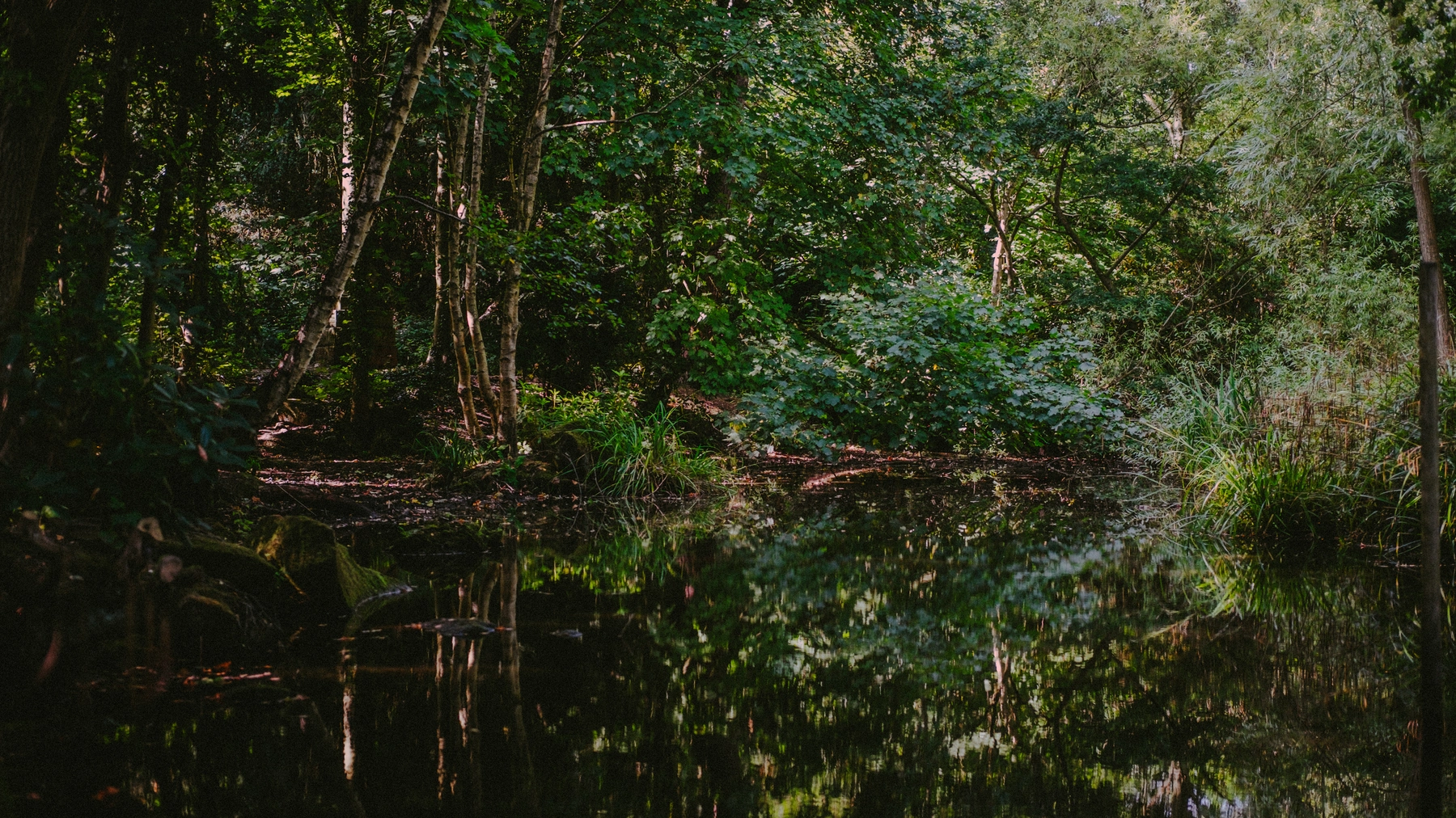 Nature photography