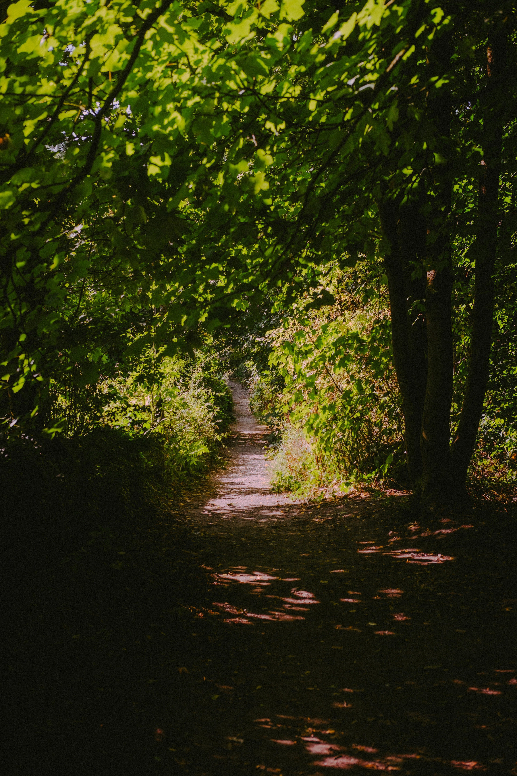 Nature photography