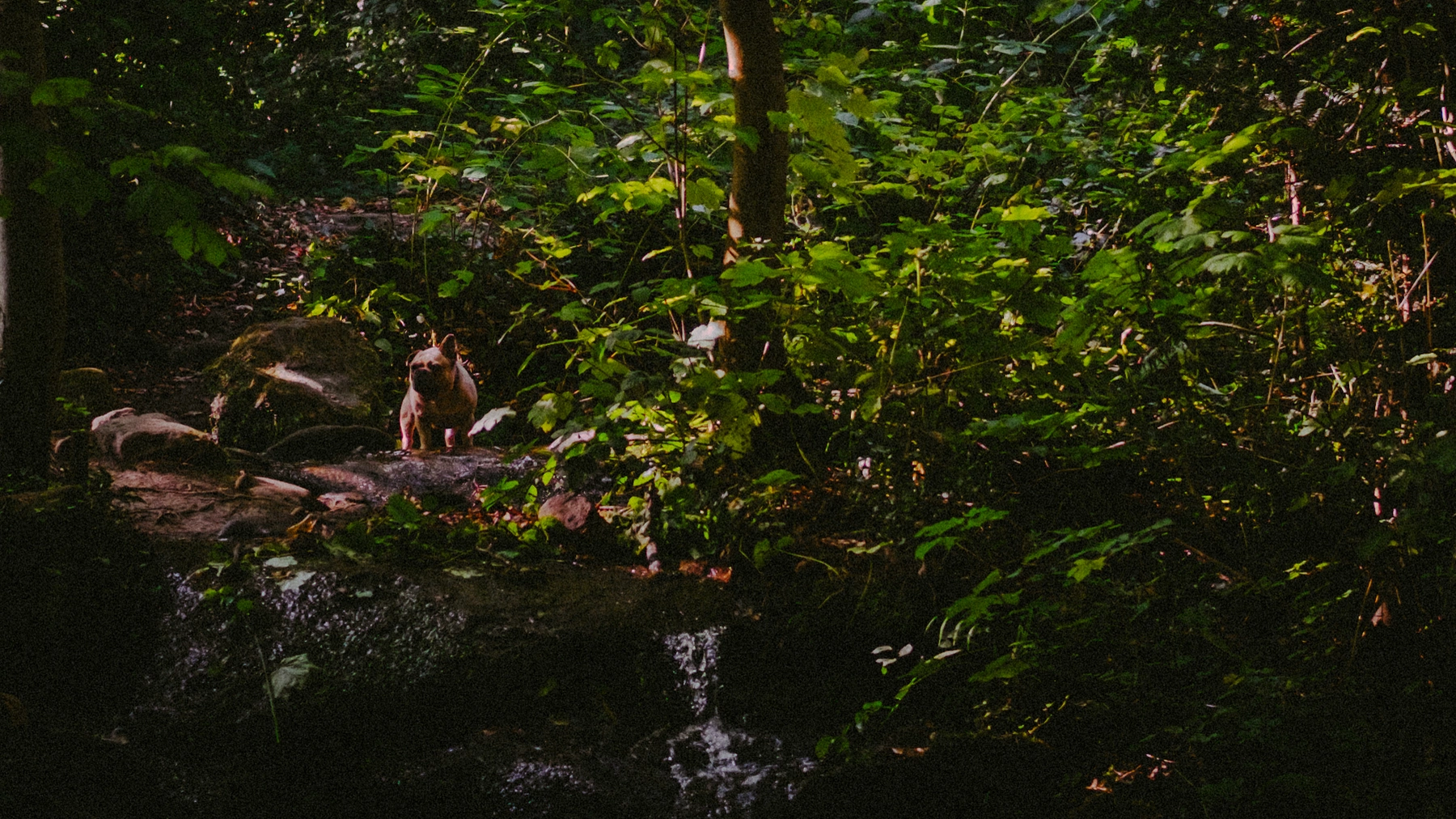 Nature photography