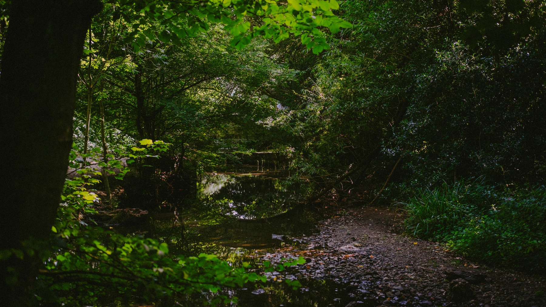 Nature photography