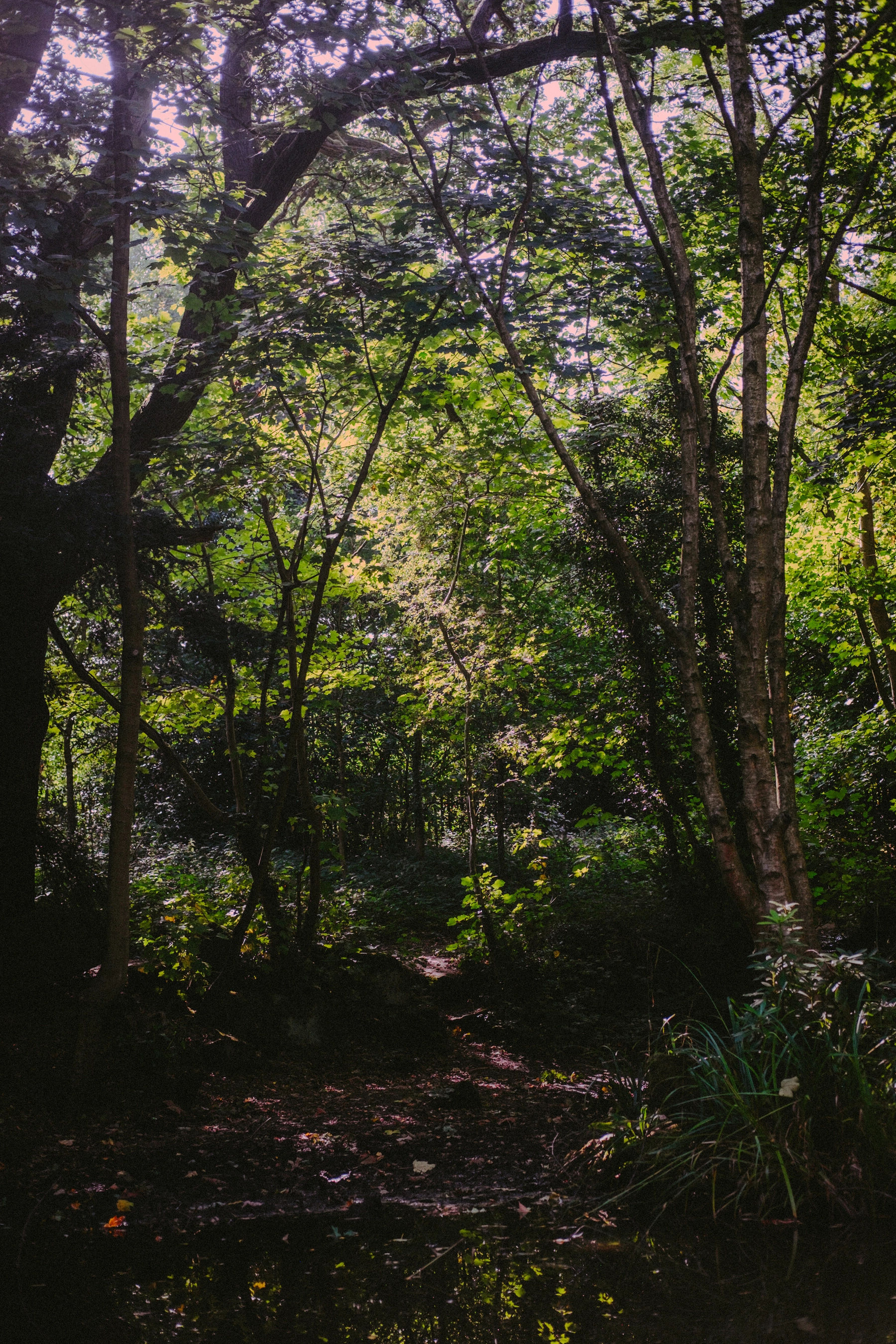 Nature photography