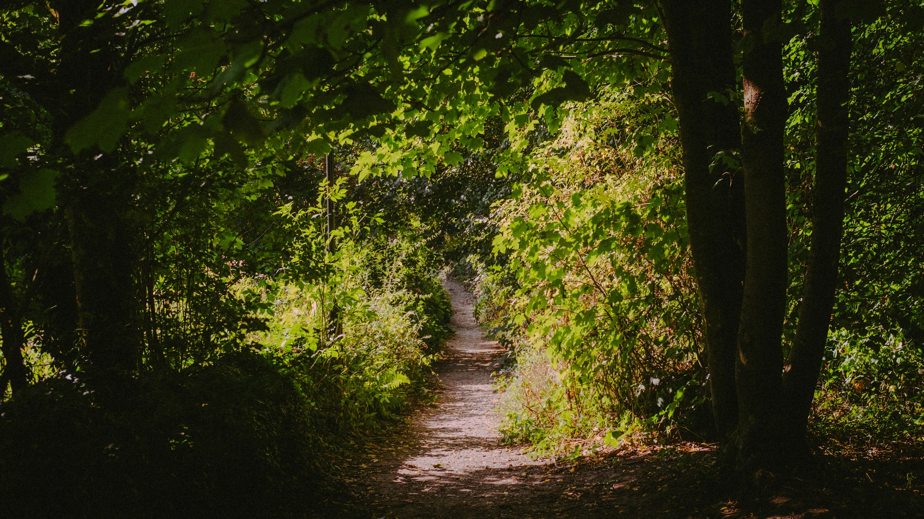 Nature photography
