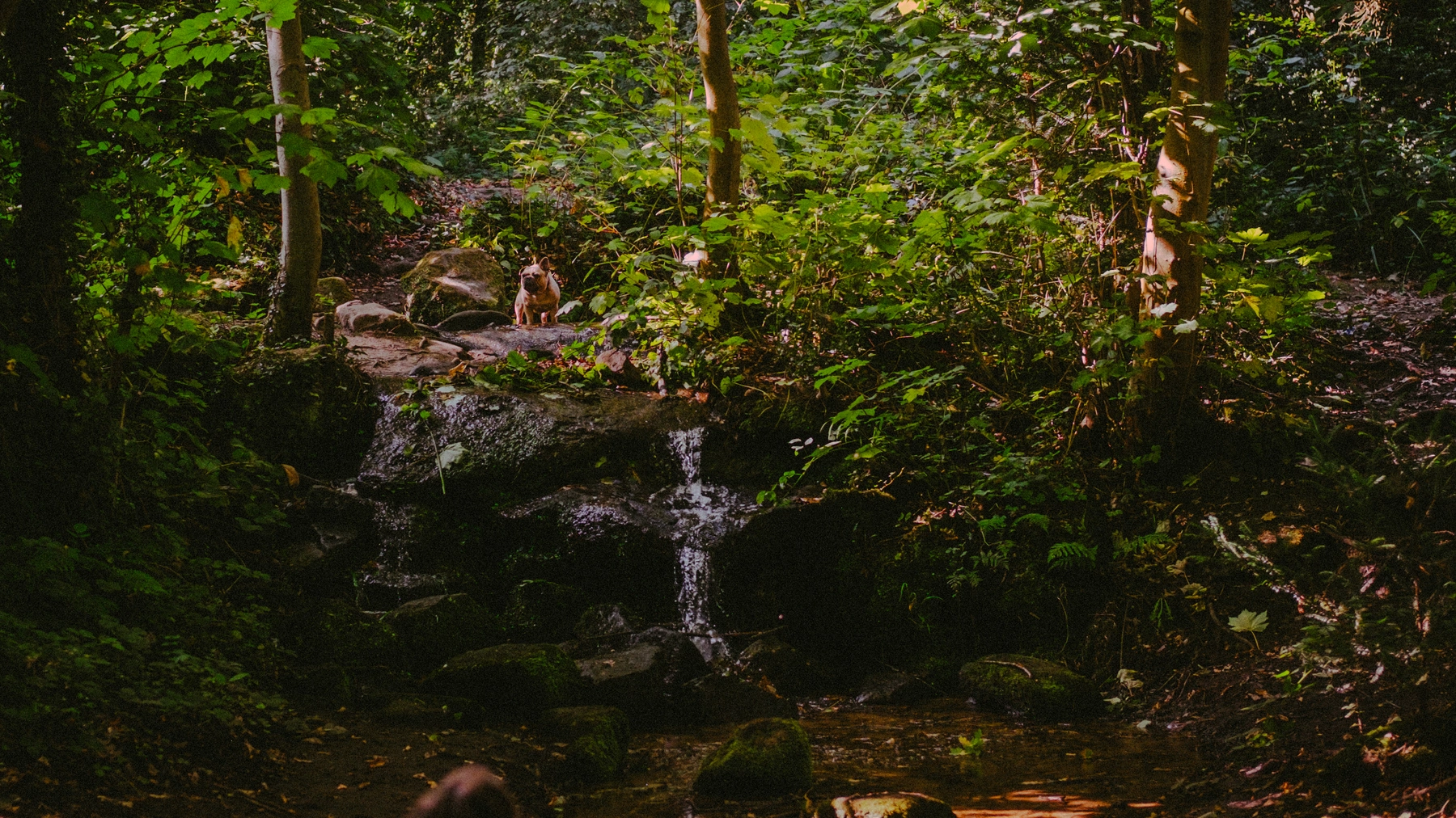 Nature photography