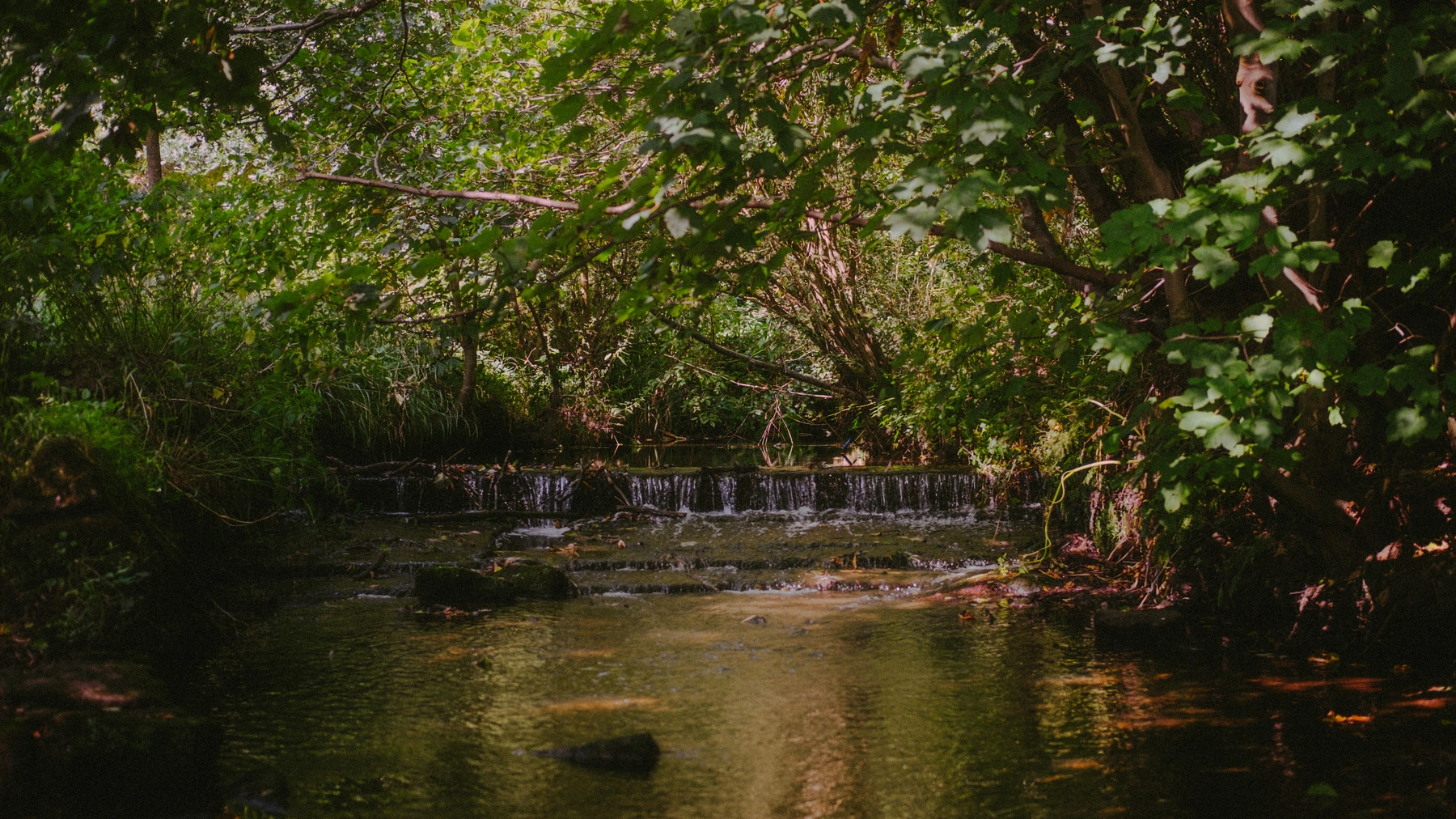 Nature photography