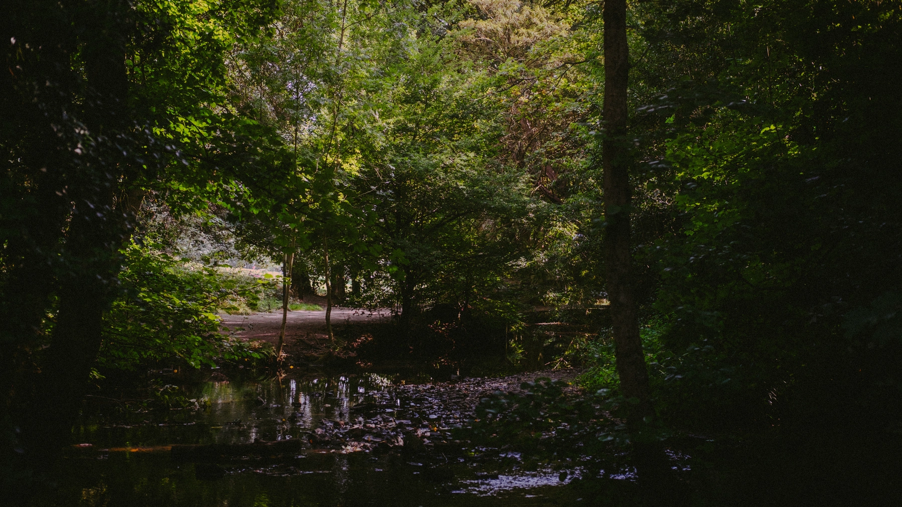 Nature photography