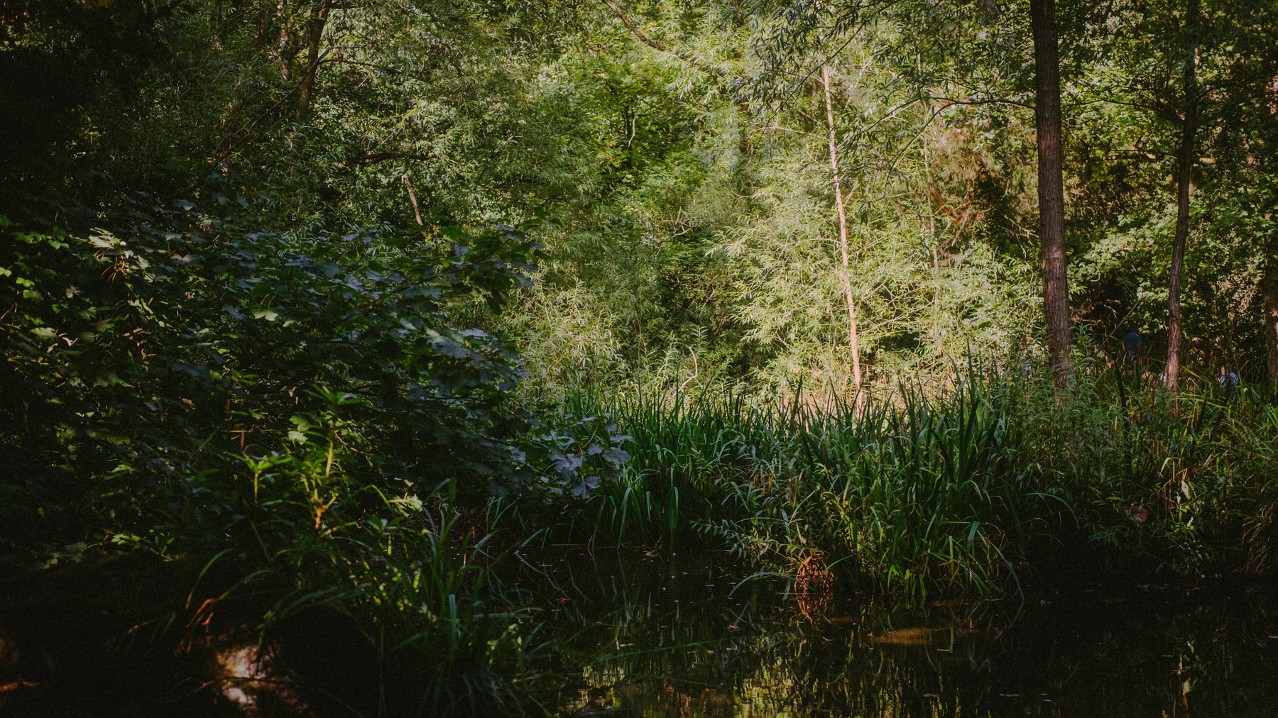 Nature photography