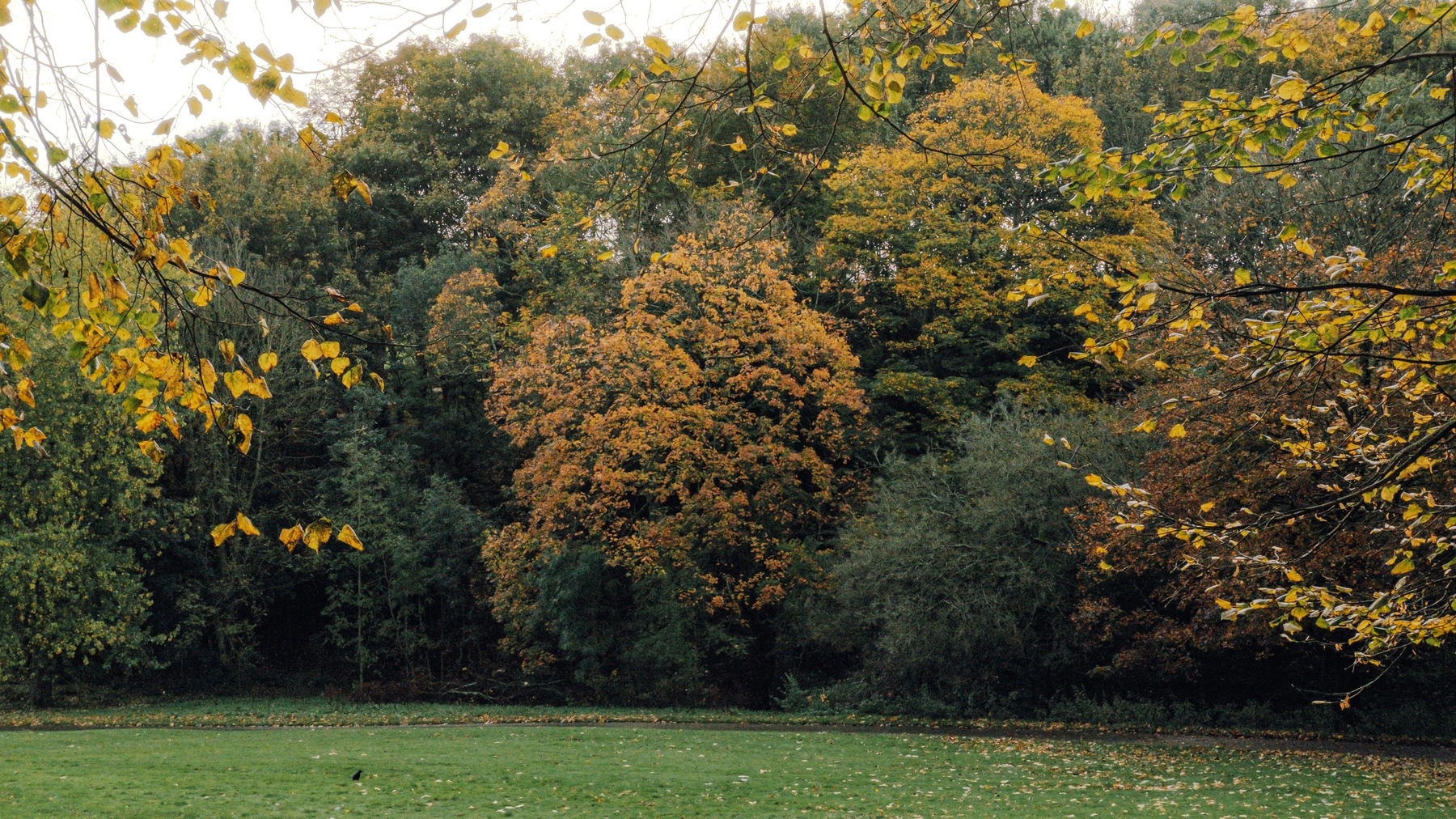 Roundhay Park photography