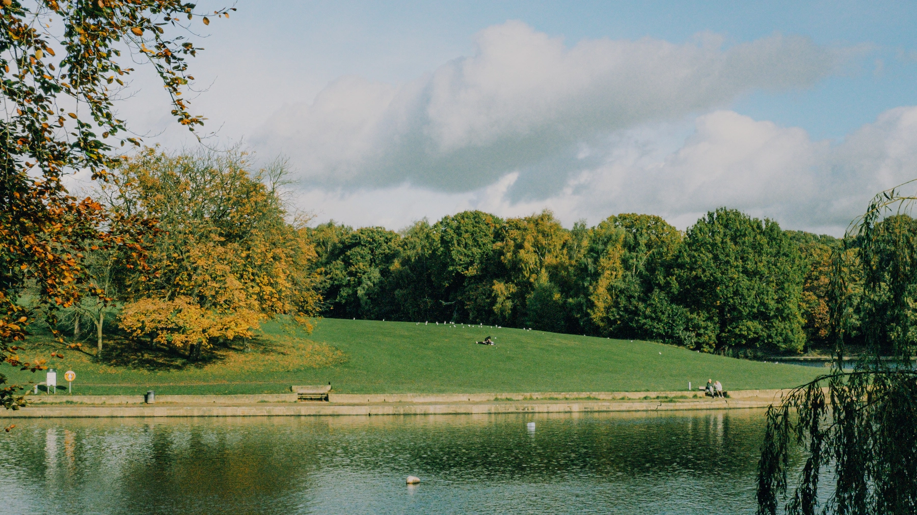 Roundhay Park photography