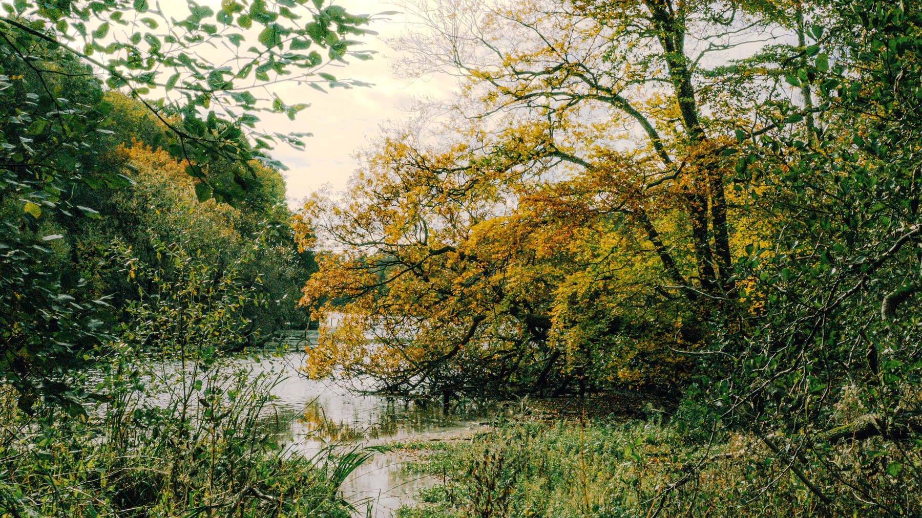Roundhay Park photography