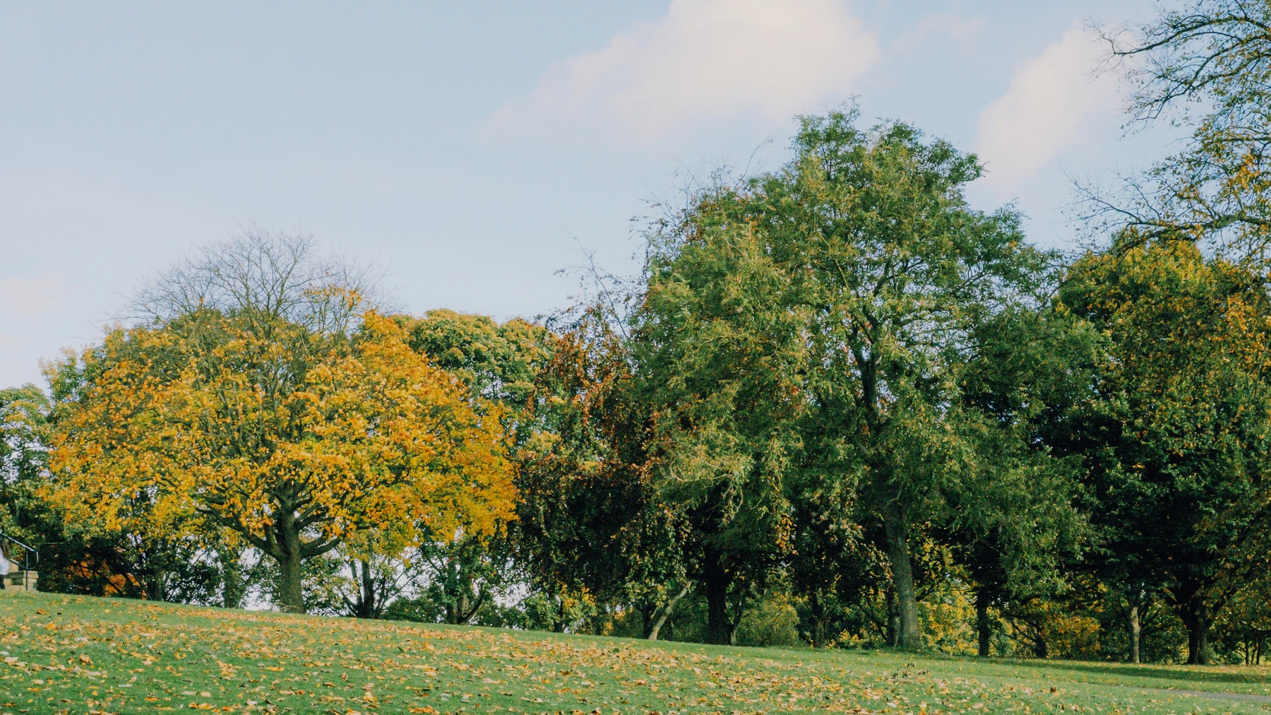 Roundhay Park photography