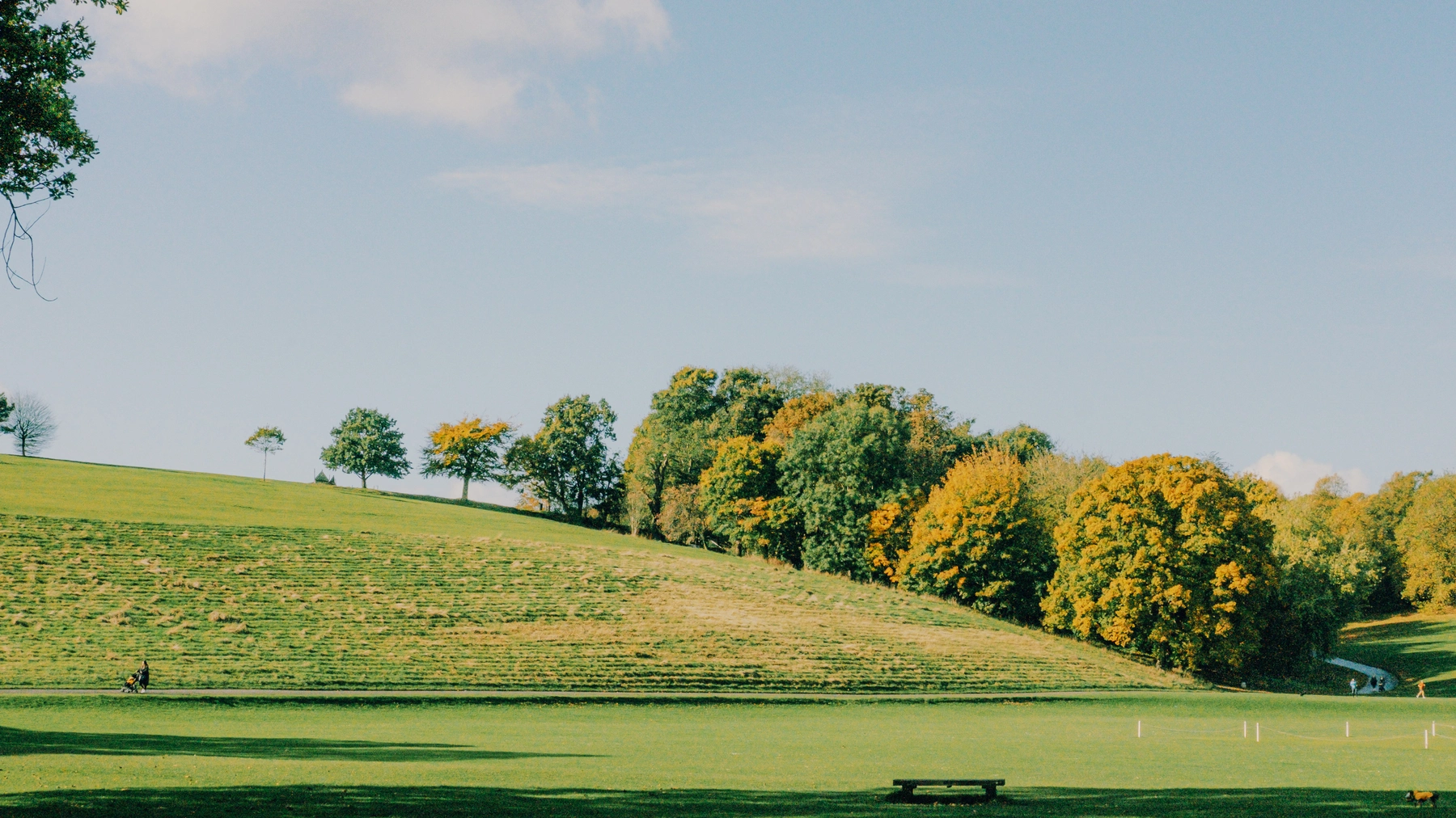 Roundhay Park photography