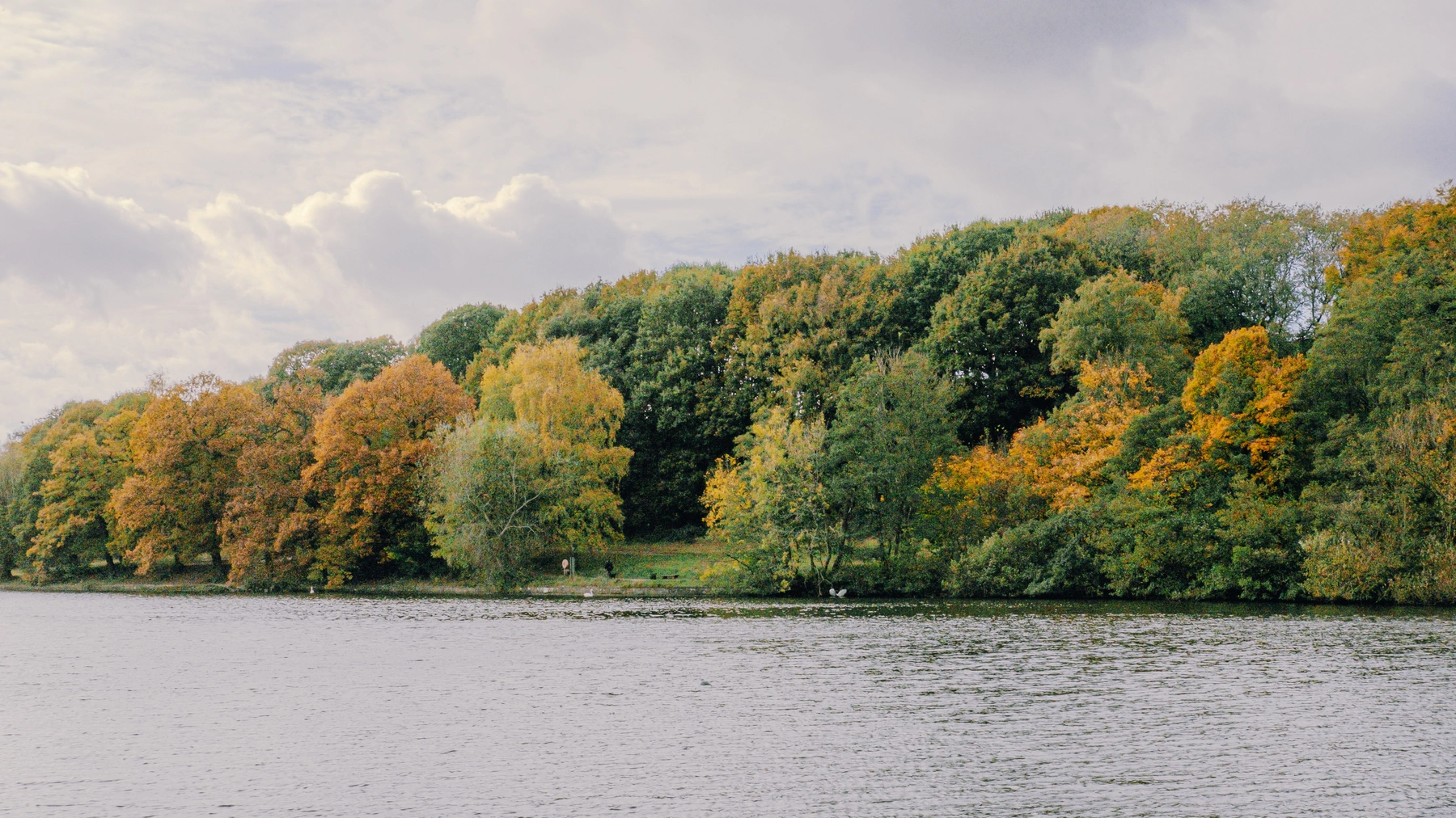 Roundhay Park photography