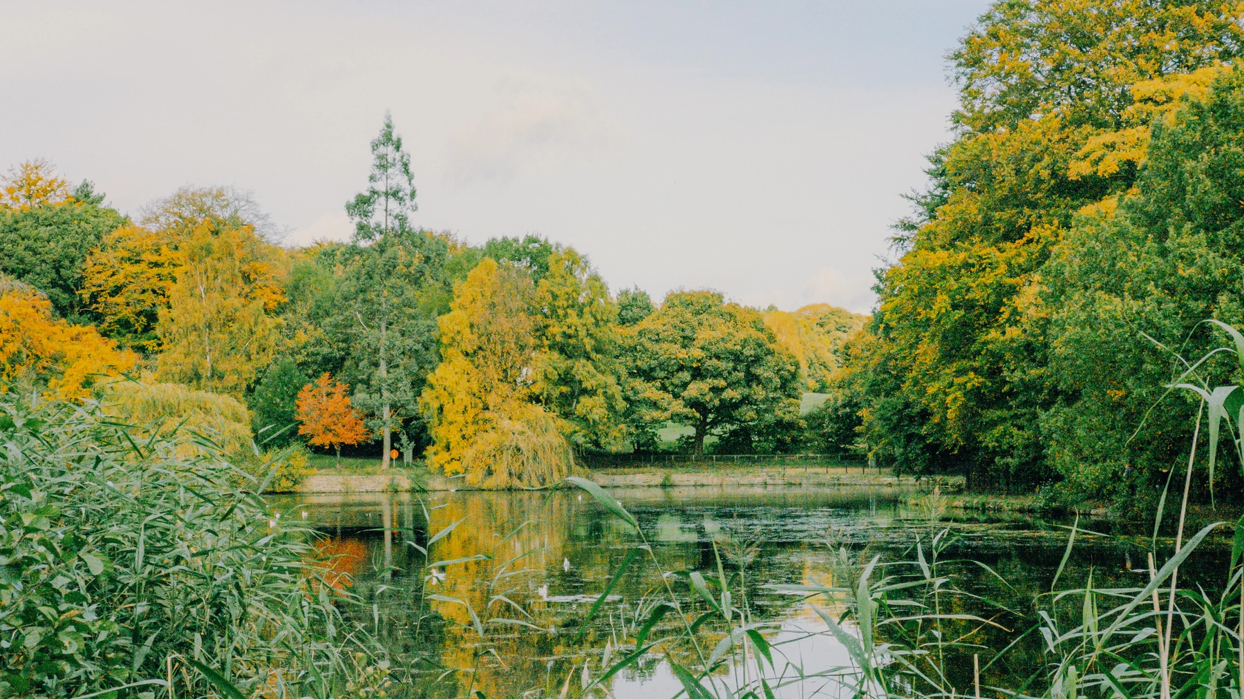 Roundhay Park photography