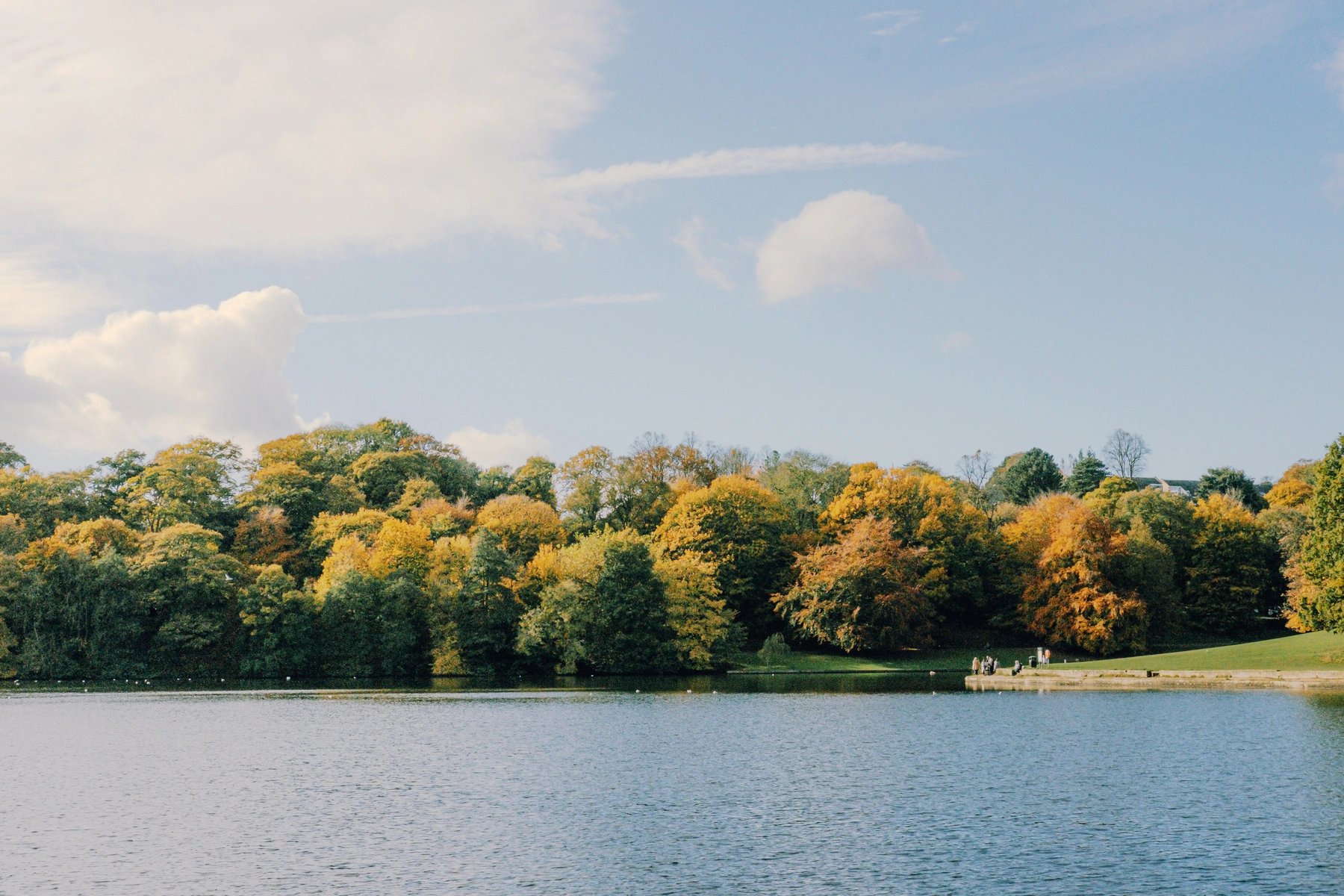 Roundhay Park photography