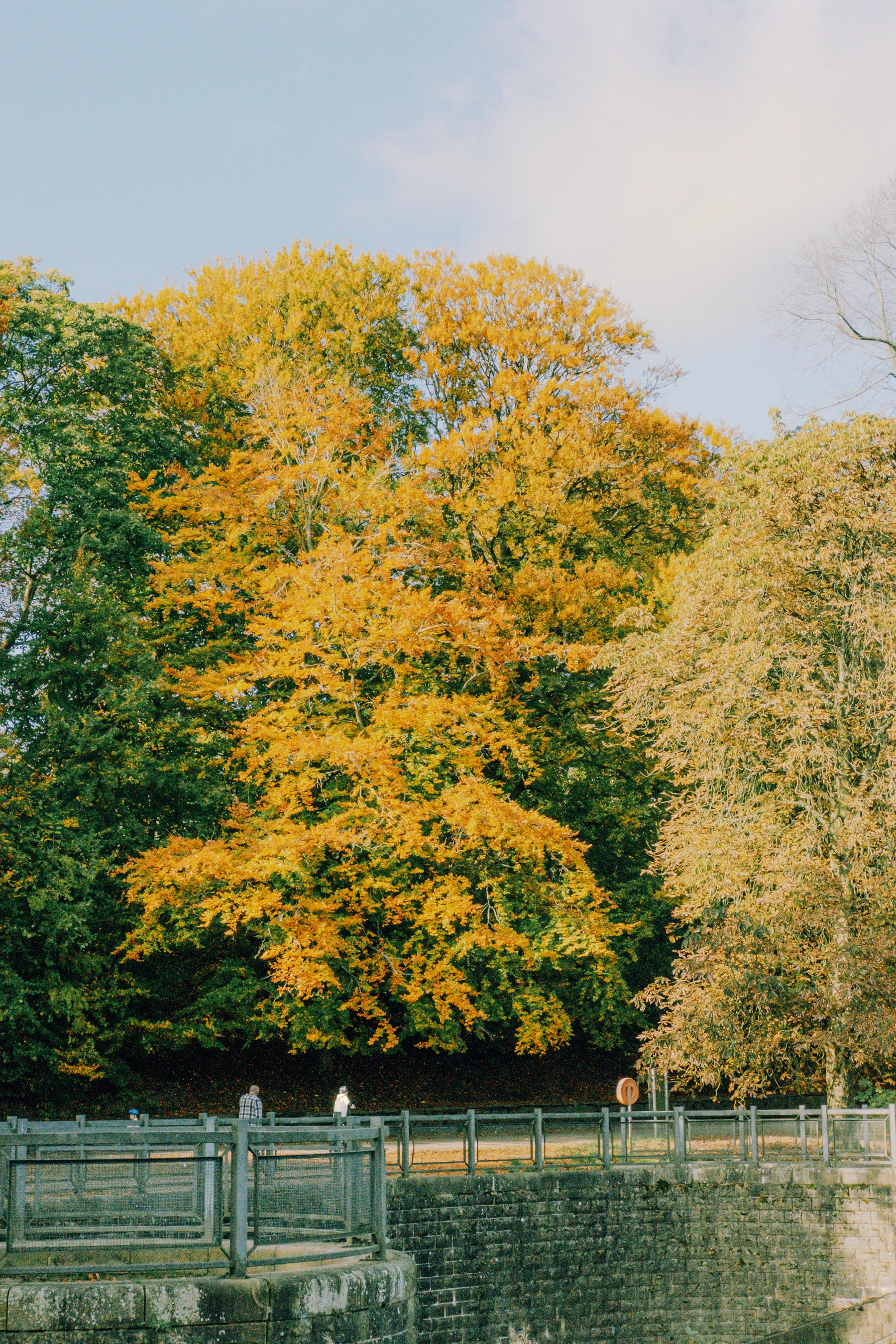 Roundhay Park photography
