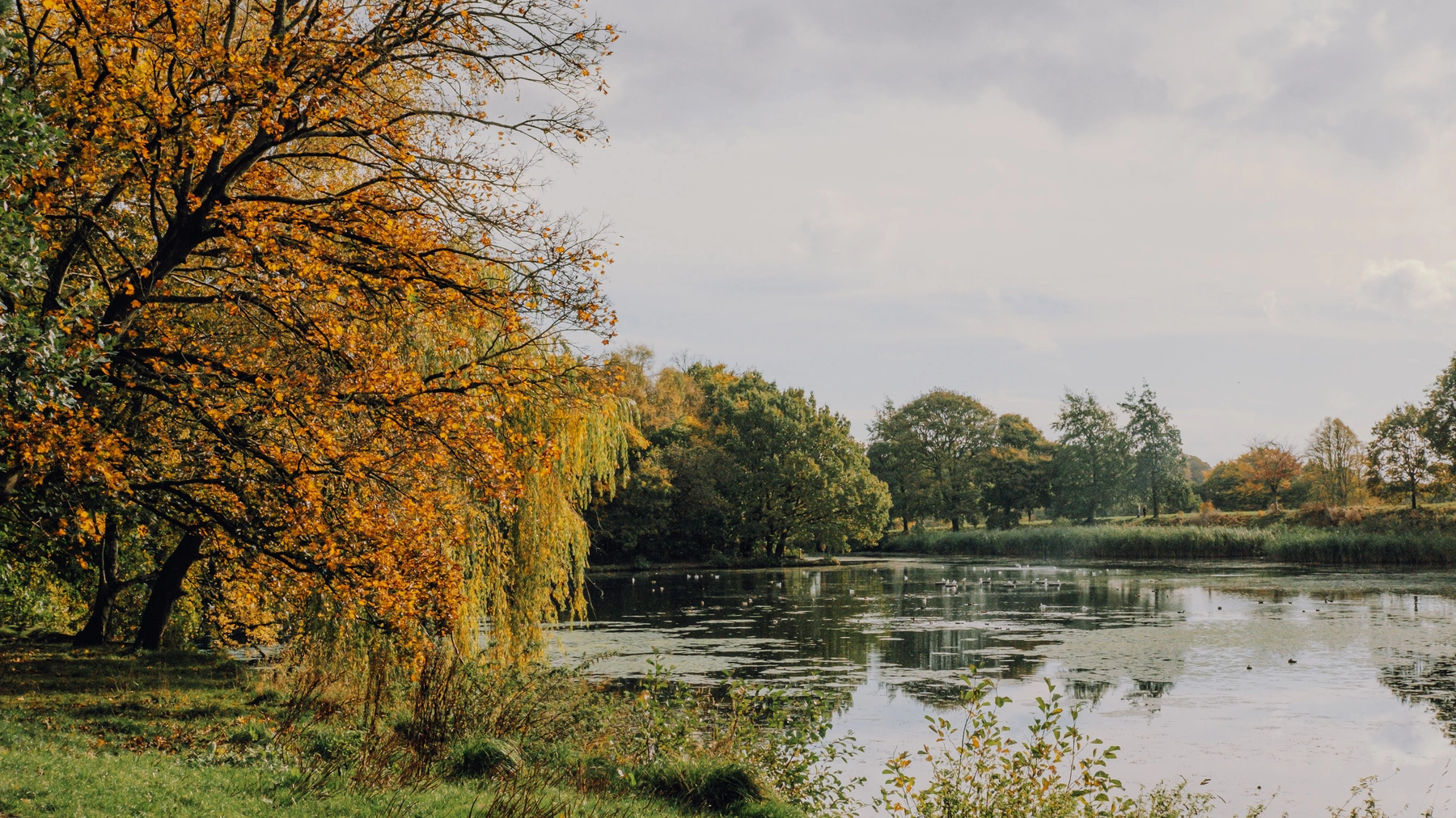 Roundhay Park photography