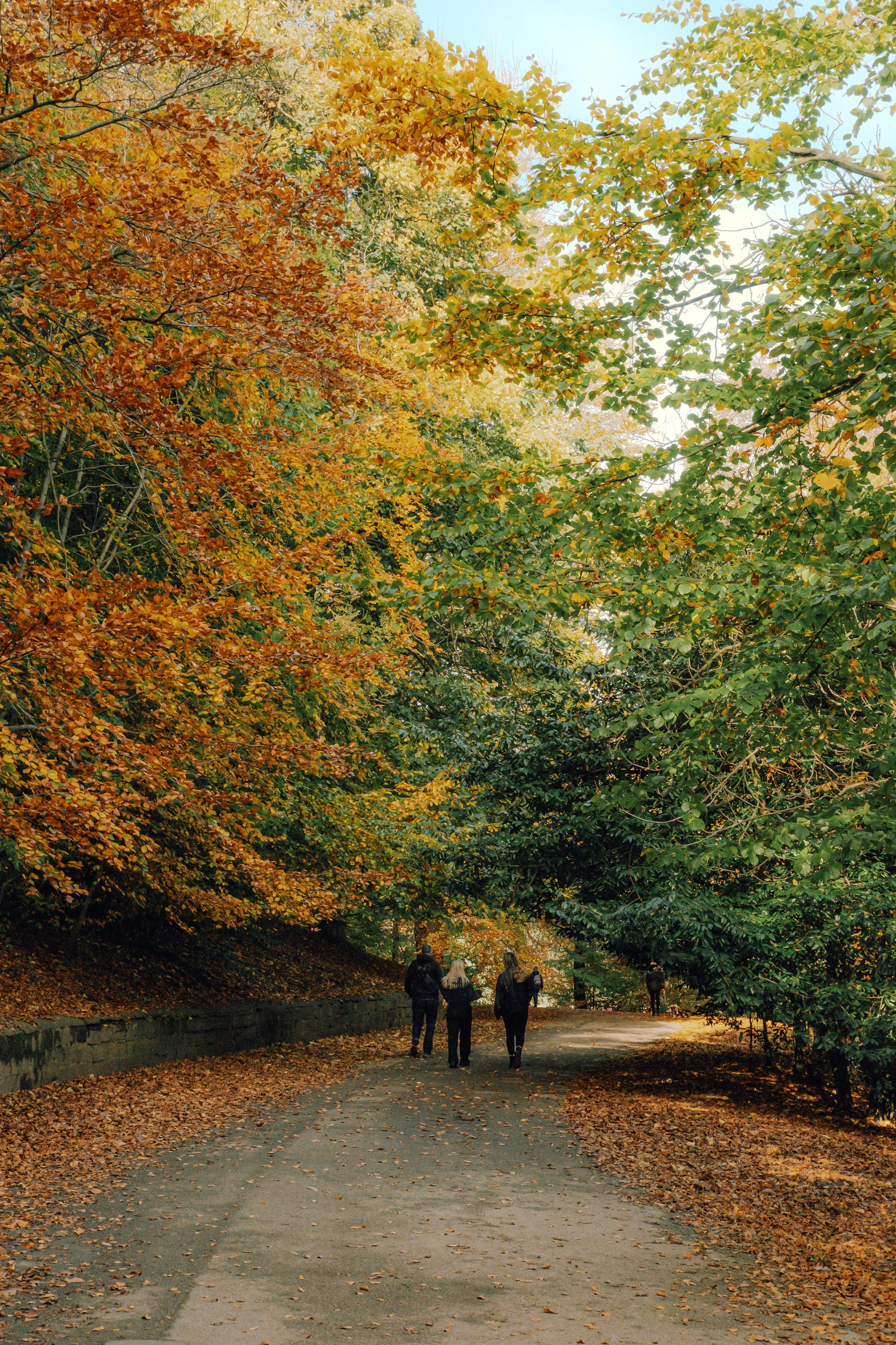 Roundhay Park photography