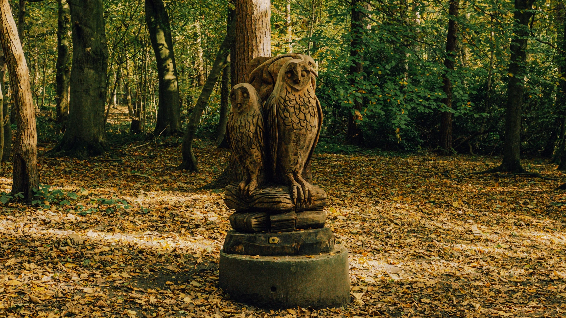 Roundhay Park photography