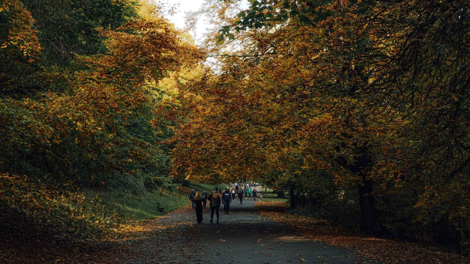 Roundhay Park photography