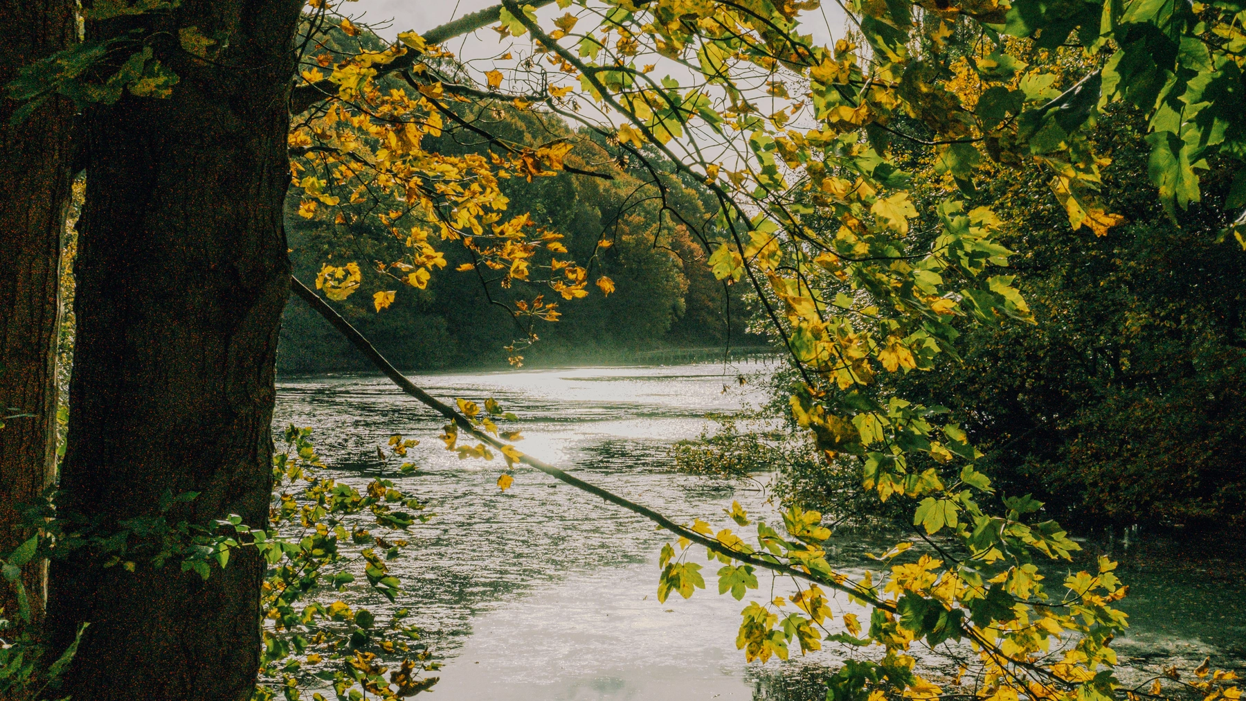 Roundhay Park photography