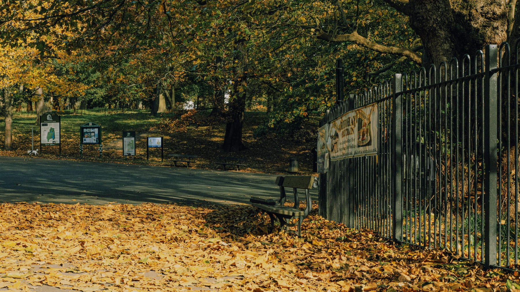 Roundhay Park photography
