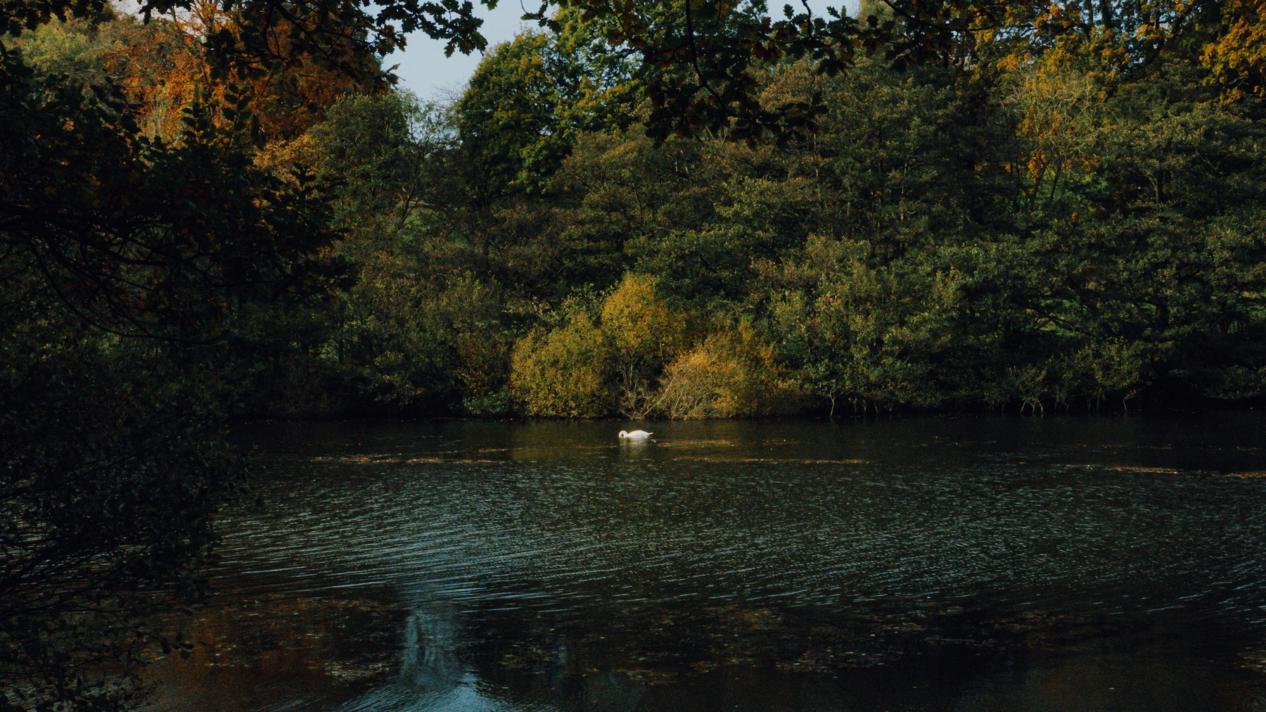 Roundhay Park photography