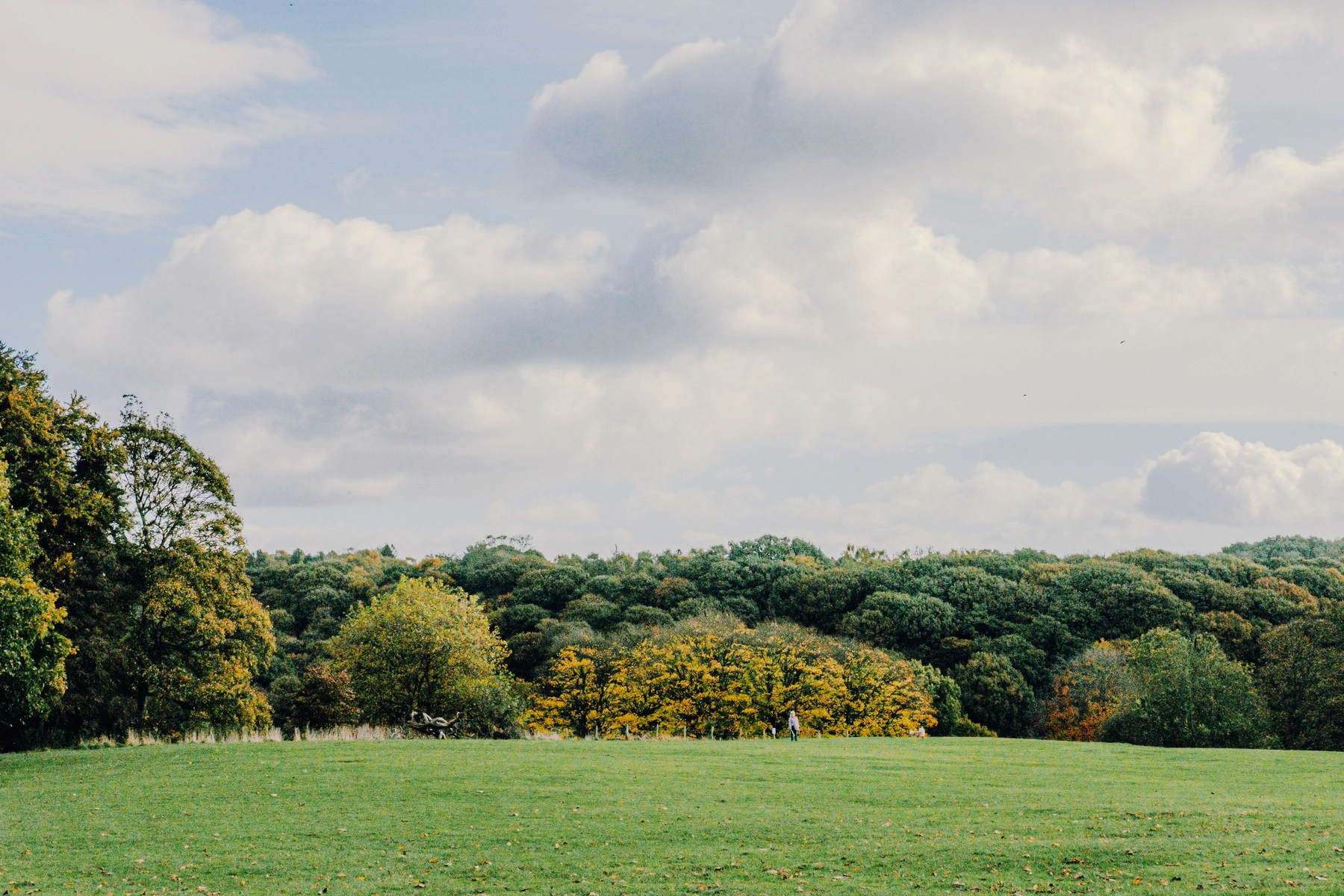 Roundhay Park photography