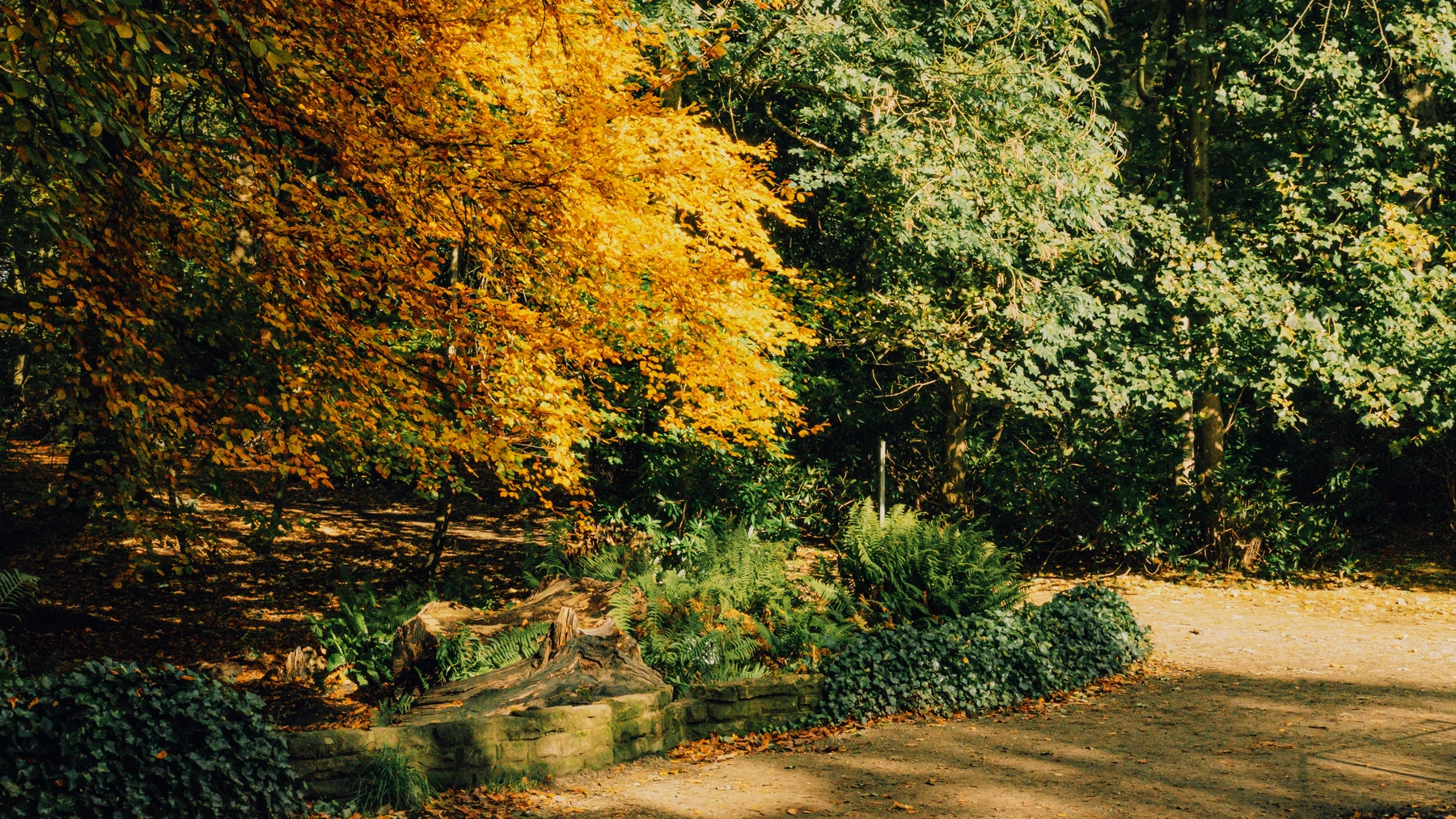 Roundhay Park photography