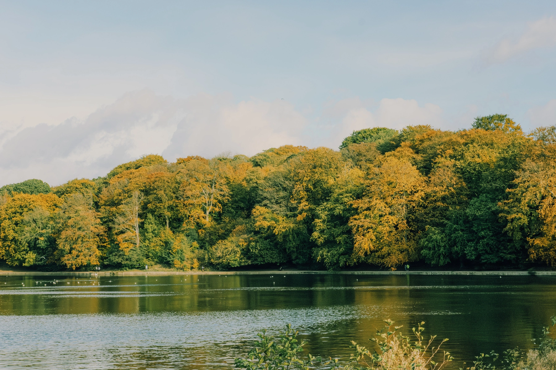 Roundhay Park photography