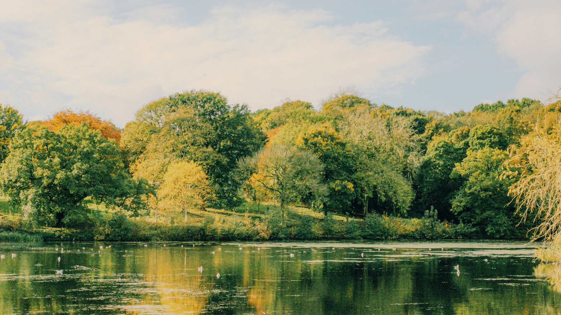 Roundhay Park photography