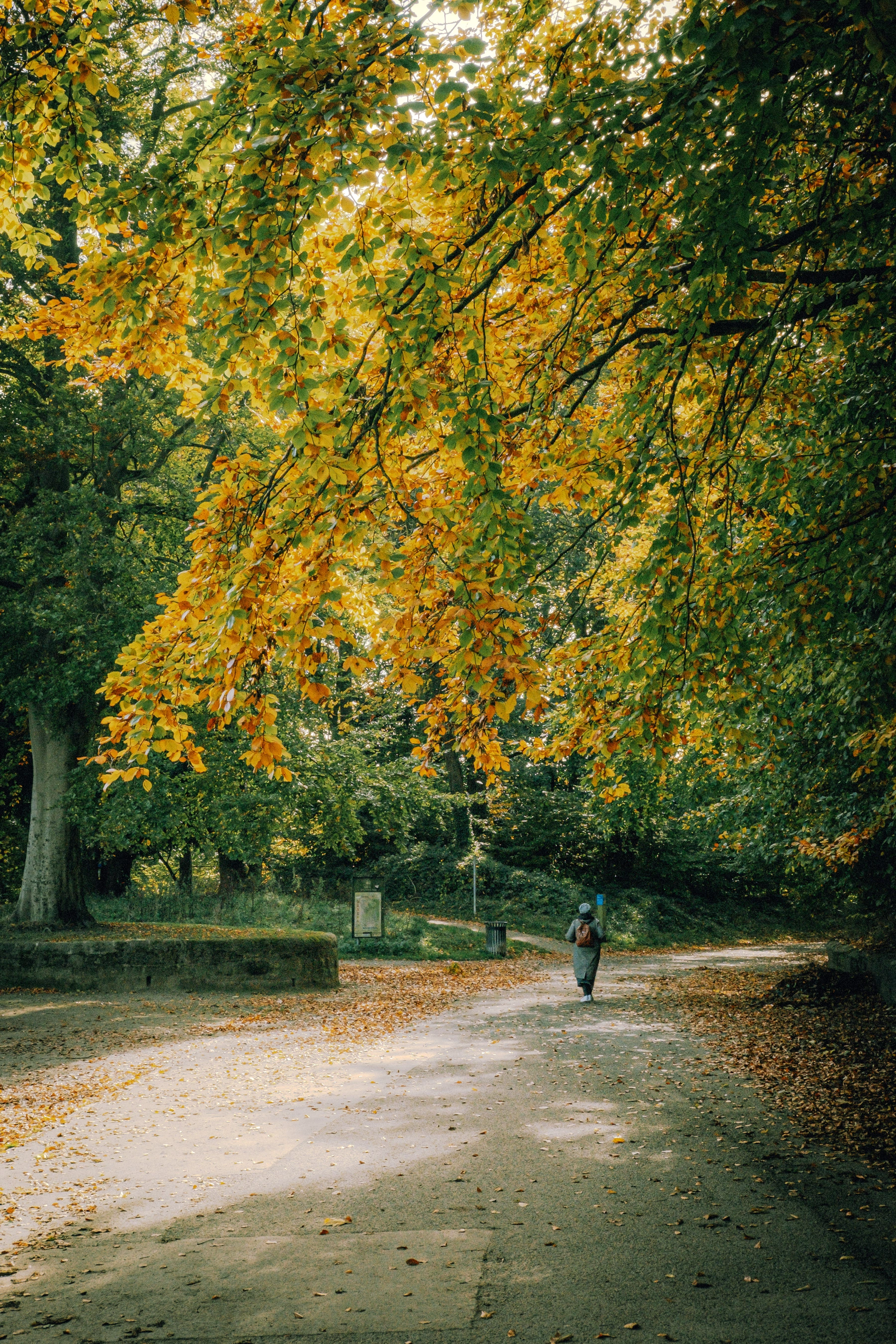 Roundhay Park photography