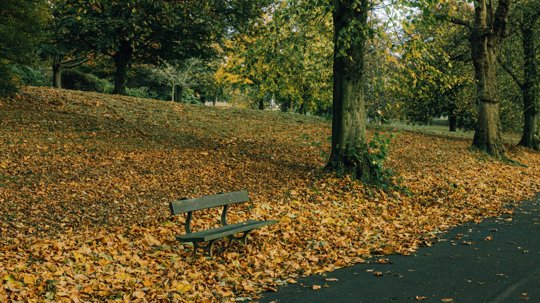Roundhay Park photography