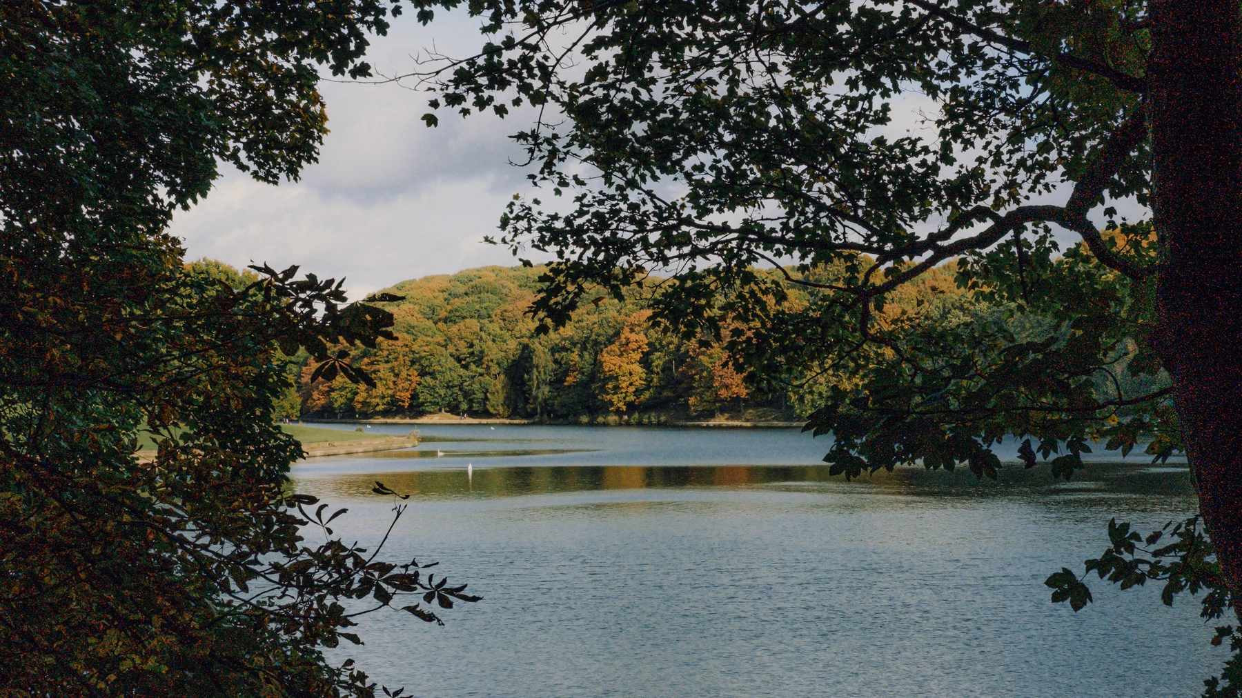 Roundhay Park photography