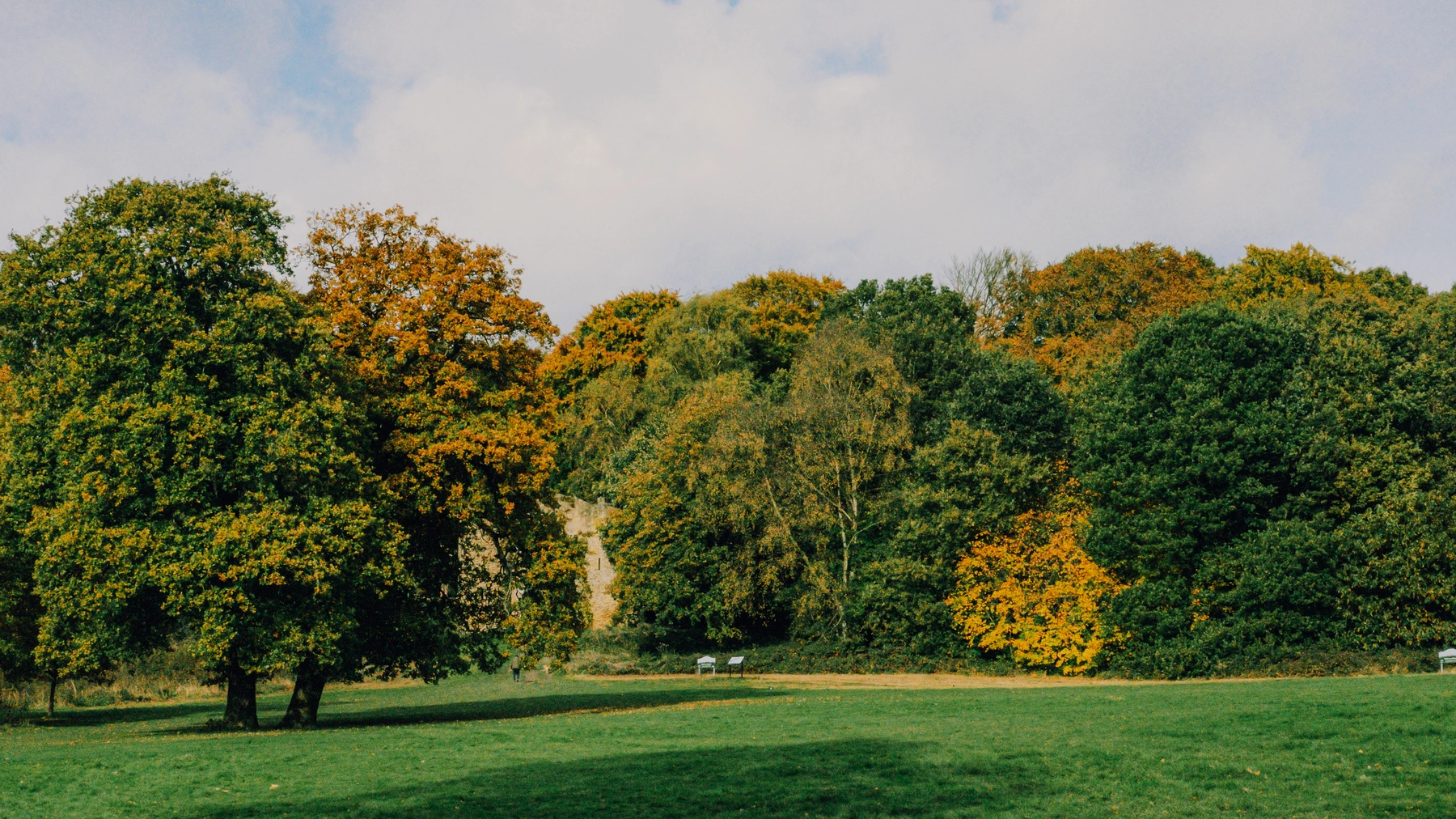 Roundhay Park photography