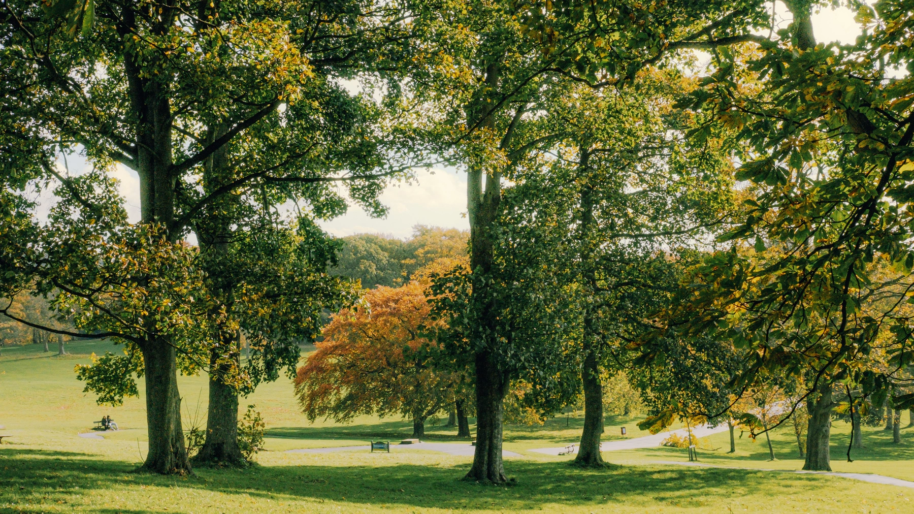 Roundhay Park photography