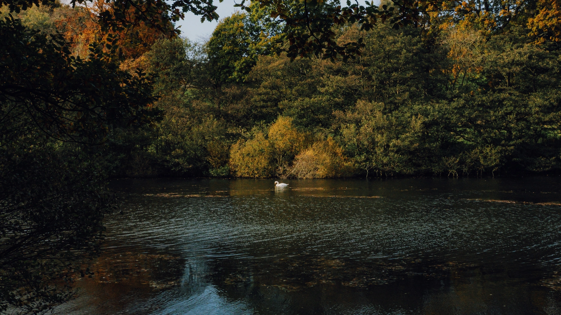 Roundhay Park photography