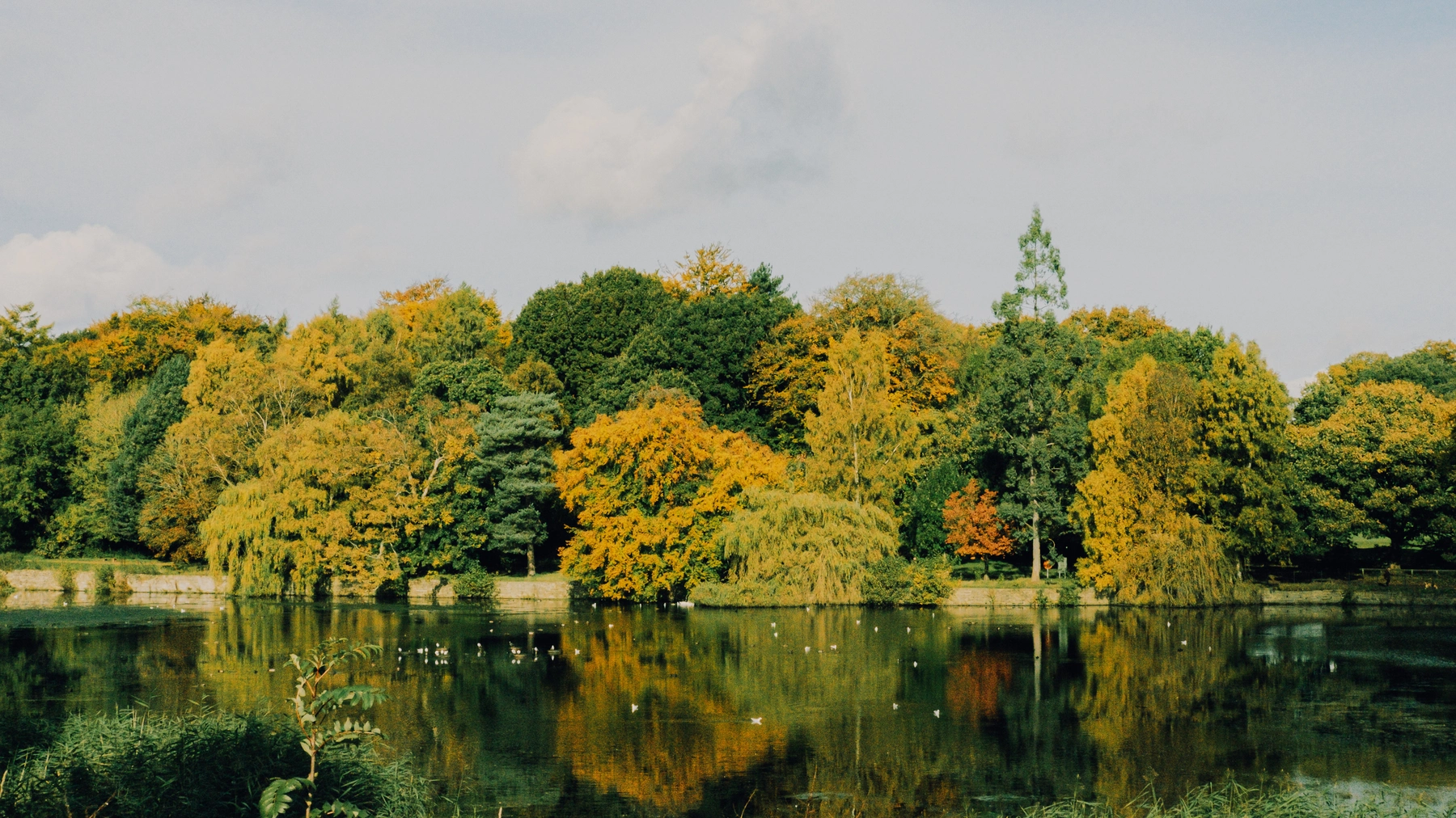 Roundhay Park photography