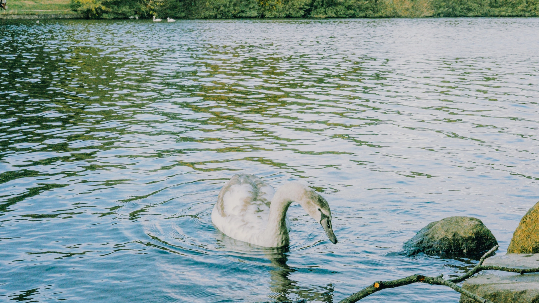 Roundhay Park photography