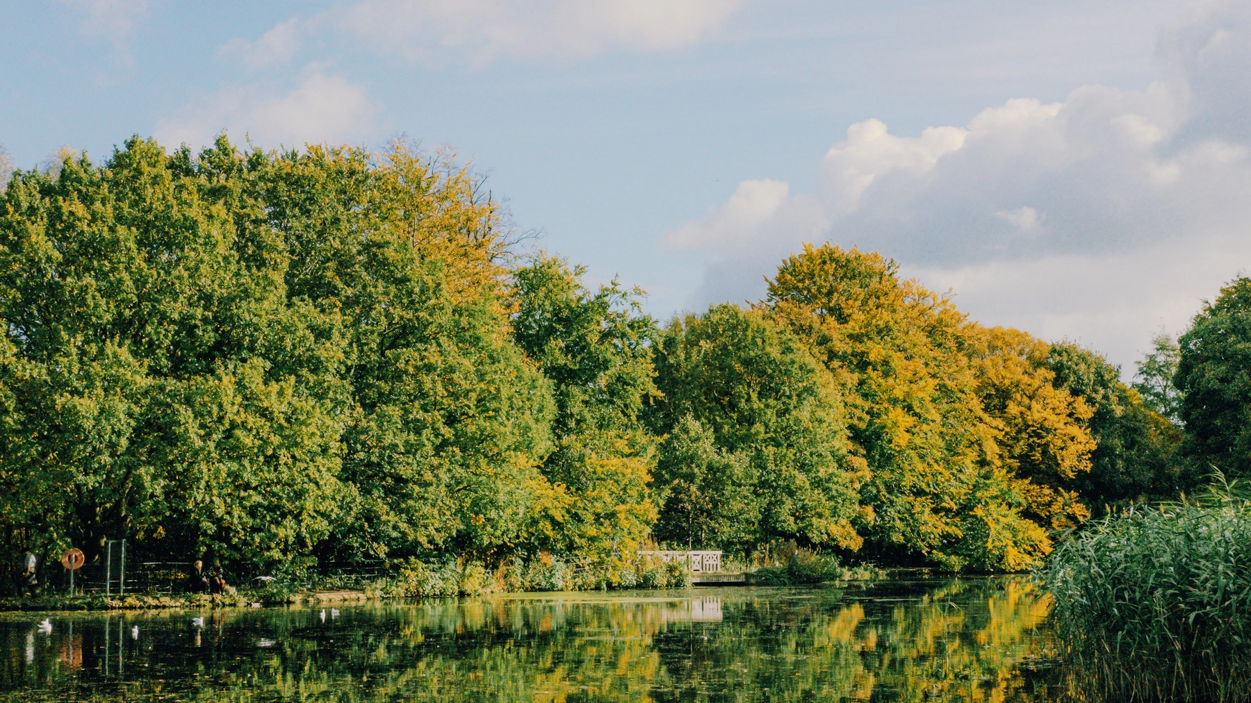 Roundhay Park photography